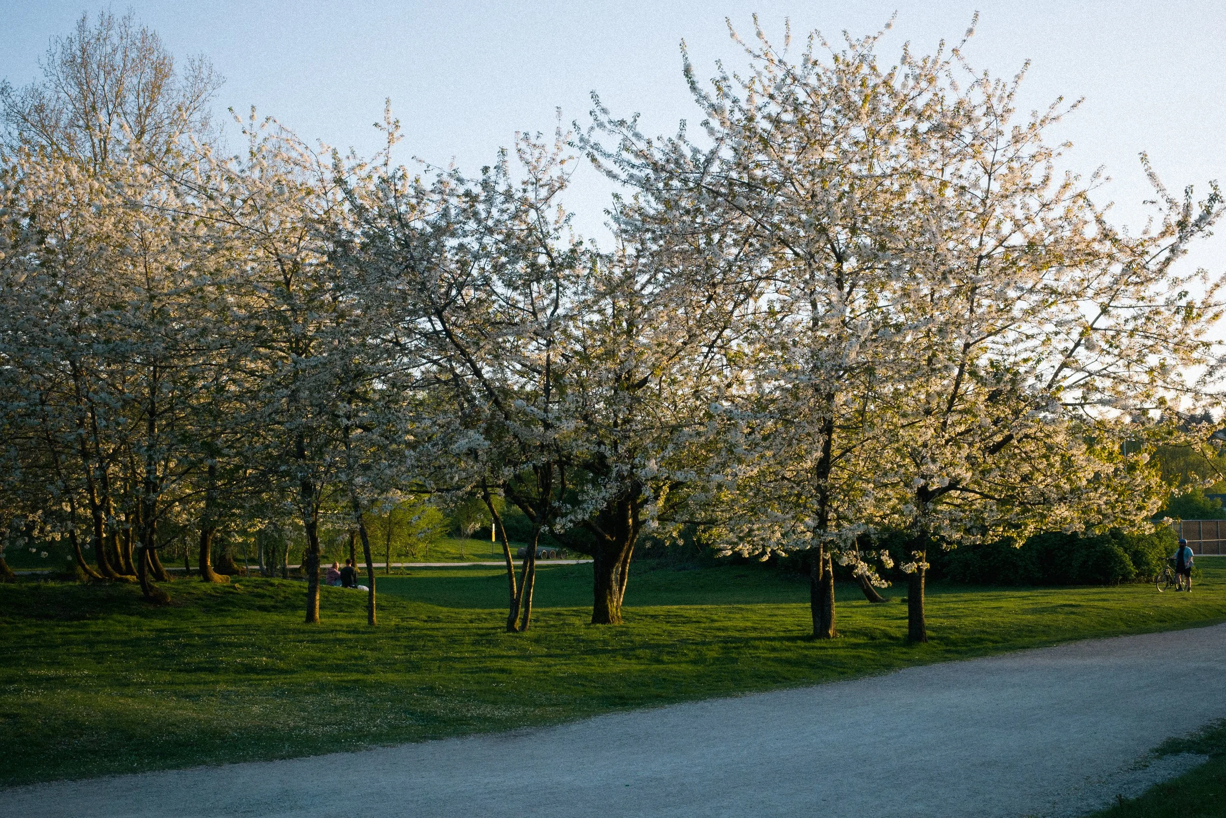 R0001141.jpg