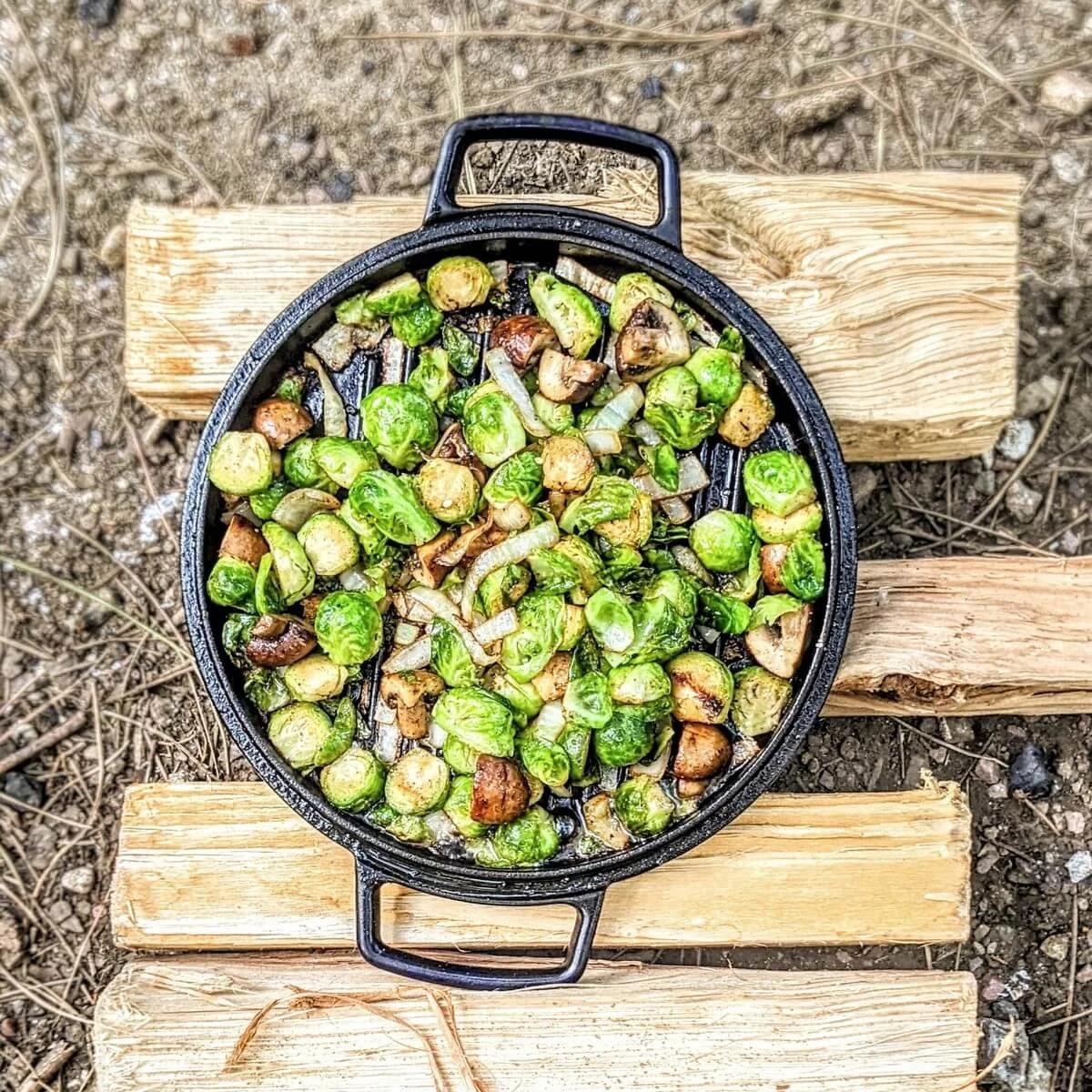 Bacon fat + Brussels sprouts = 💚

When you're camping, keeping dishes to a minimum is a must. So after I cooked some bacon and had a pan full of that delicious, smoky rendered bacon fat, I knew I couldn&rsquo;t let it go to waste.

I had onions, mus