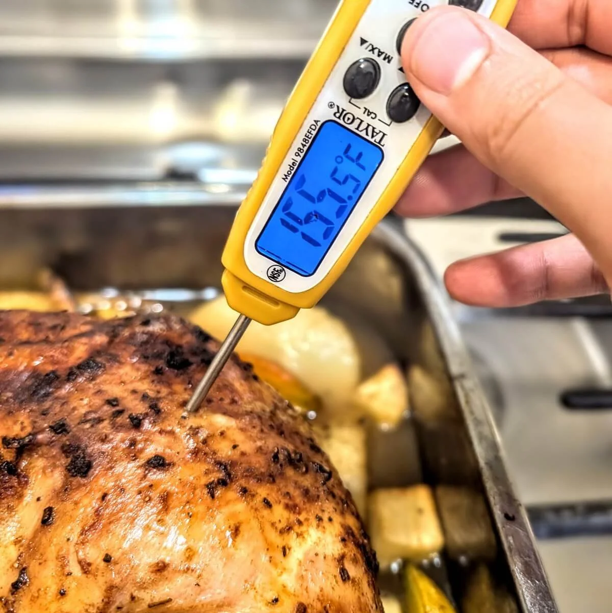 Using a digital thermometer to check temperature of Thanksgiving turkey breast