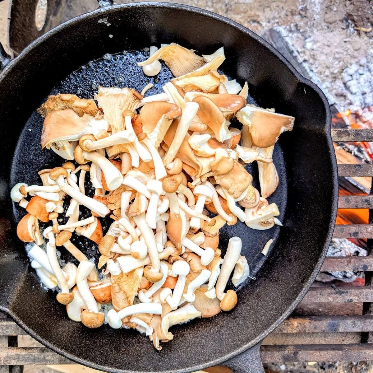 Mushrooms added to hot cast iron pan over campfire for campfire mushroom risotto
