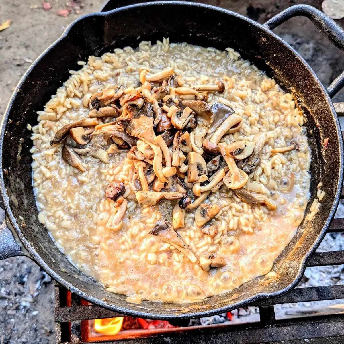 Mushrooms added back into creamy risotto in cast iron pan over campfire for campfire mushroom risotto