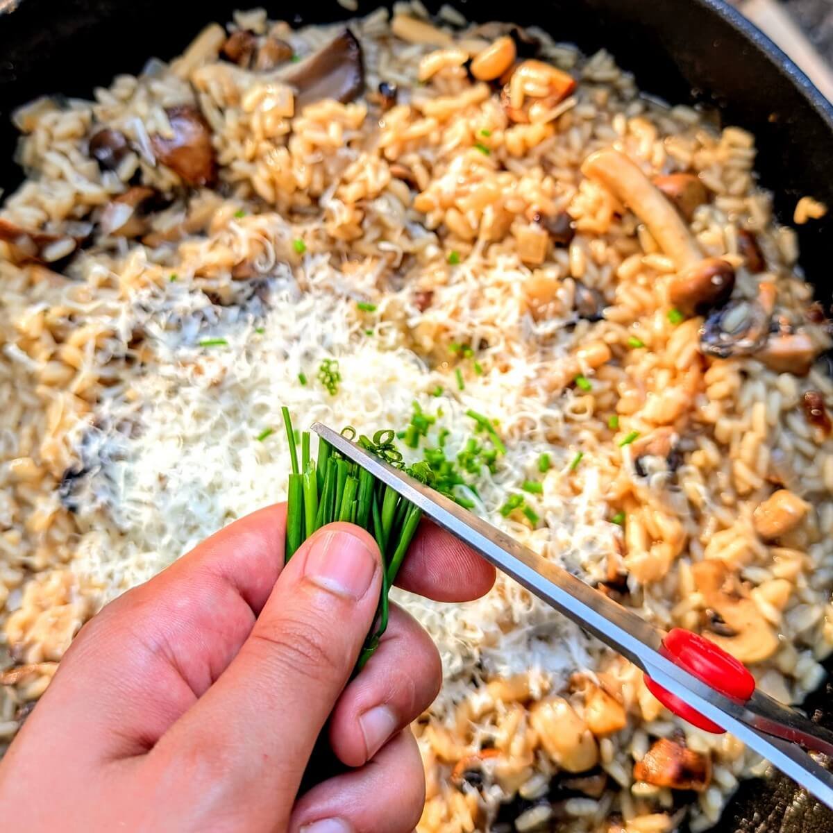 Snipping fresh chives over finished mushroom risotto in cast iron skillet at the campsite