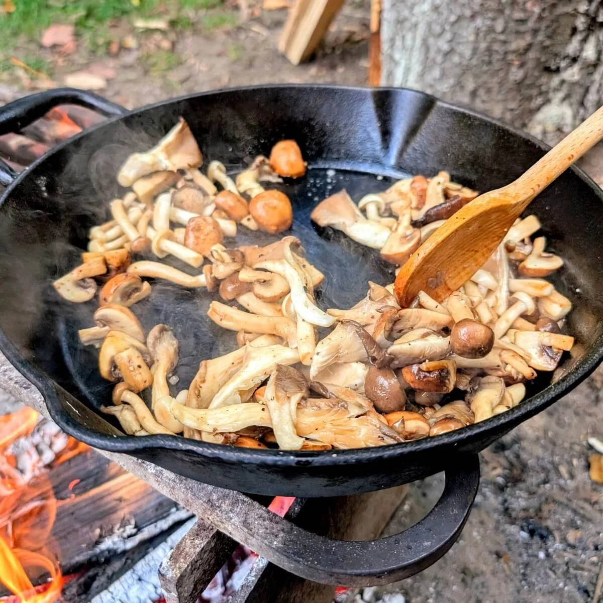 Cast-iron skillet sautéing mixed mushrooms over a campfire with visible flames below