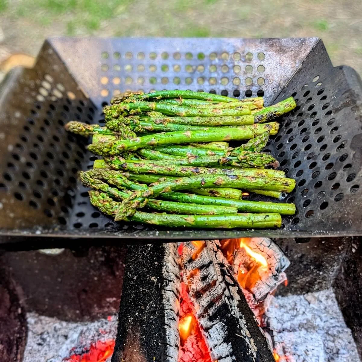 Grilled asparagus cooking in a stainless steel grill basket over a campfire with glowing embers below