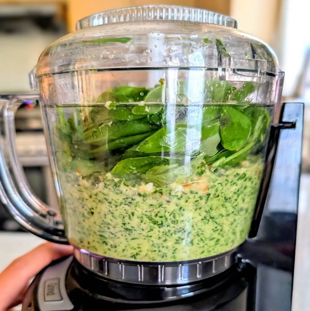 Additional basil leaves added to pesto in food processor before blending