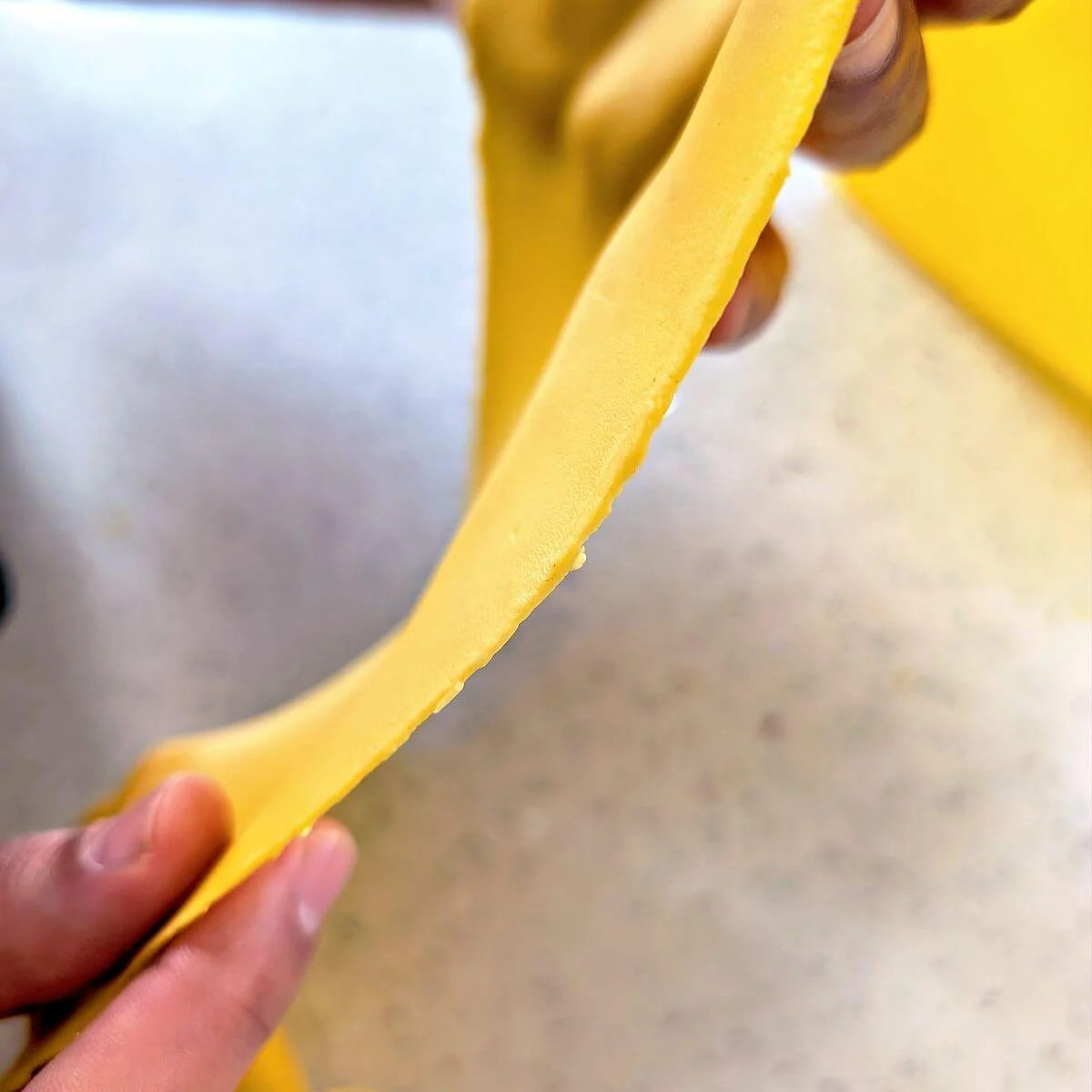 Close-up of fresh egg pasta sheet held up to show smooth texture and proper thickness