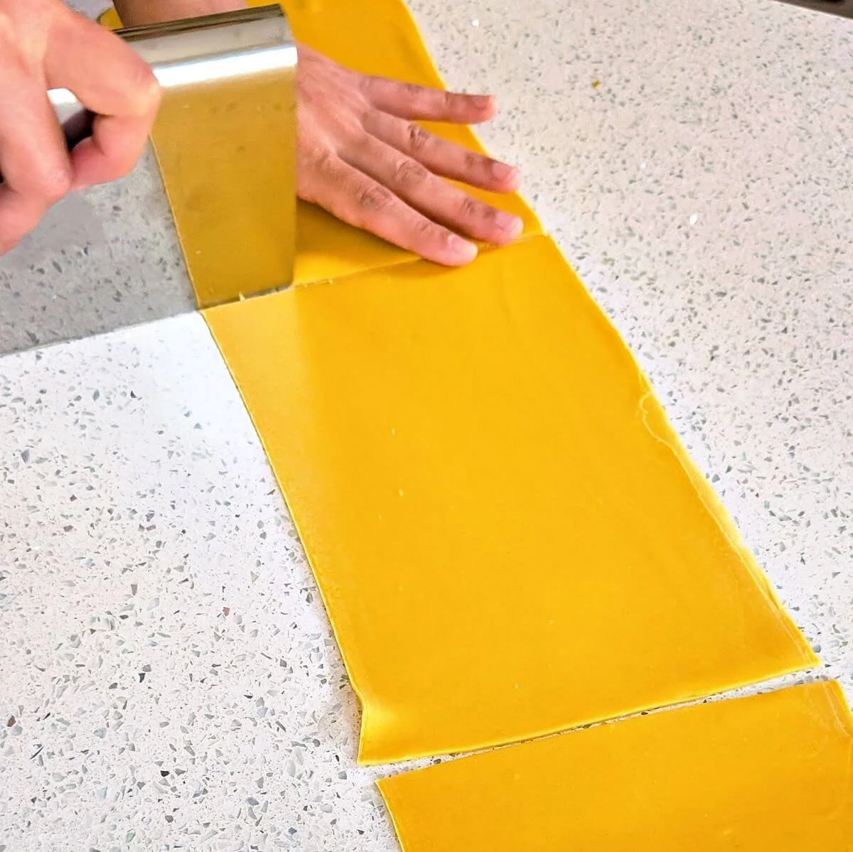 Long sheet of fresh pasta dough cut into shorter sections for easier handling