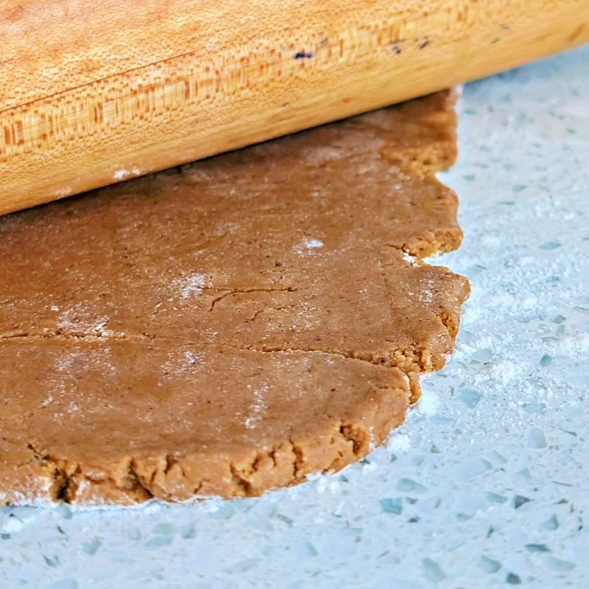 Gingerbread dough rolled out on a floured counter