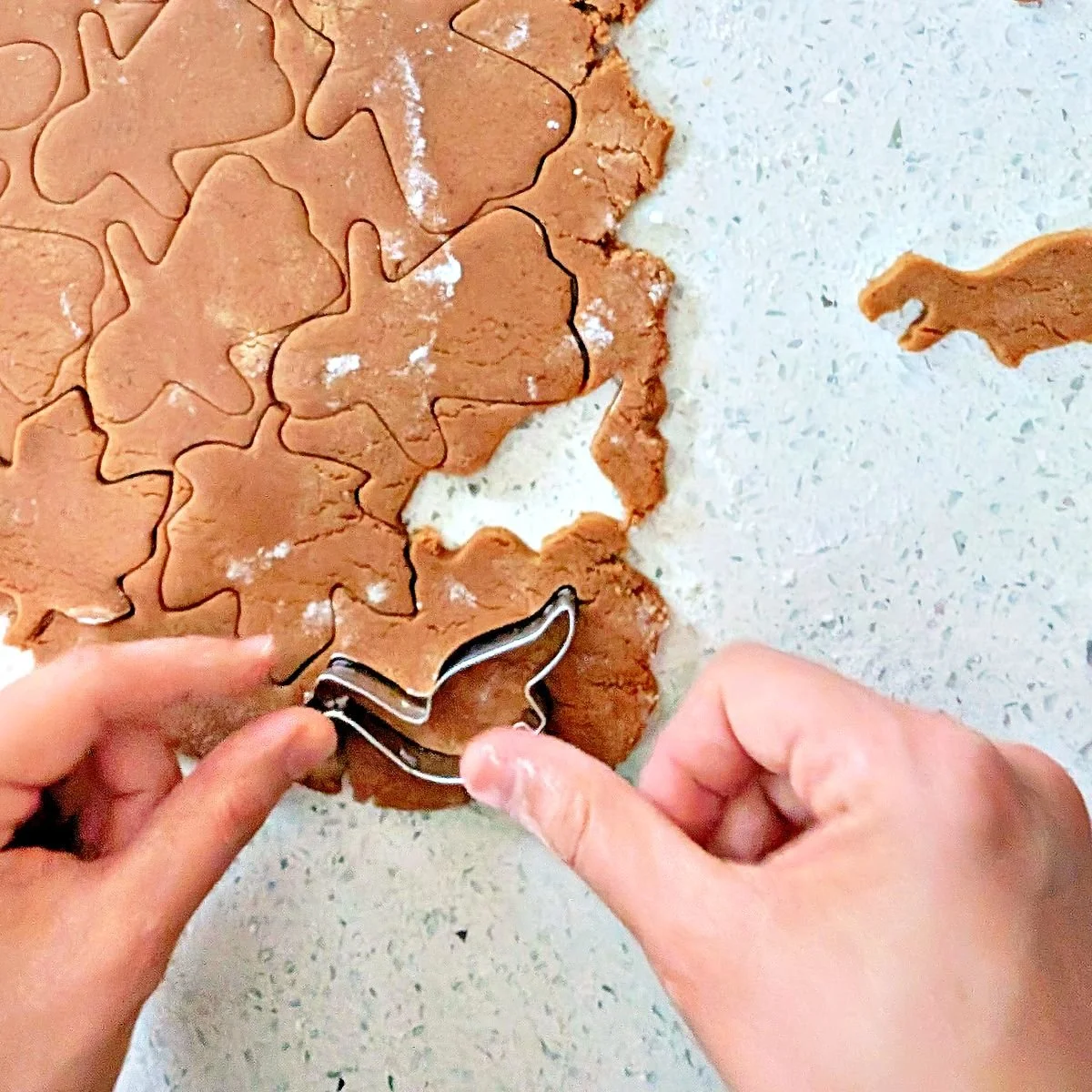 Gingerbread person, maple leaf, and dinosaur shapes being cut from rolled dough