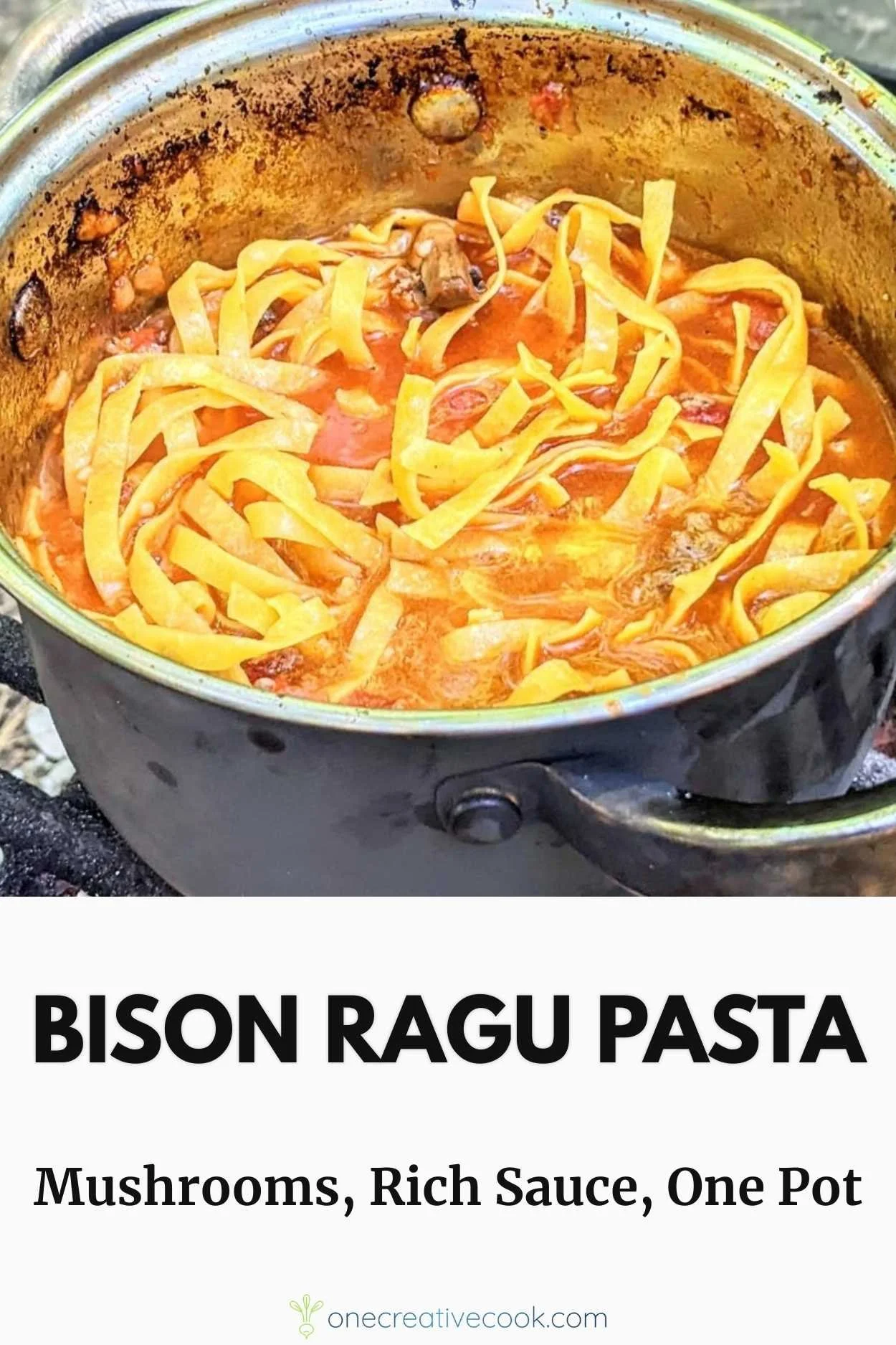 One Pot Bison Tagliatelle Recipe