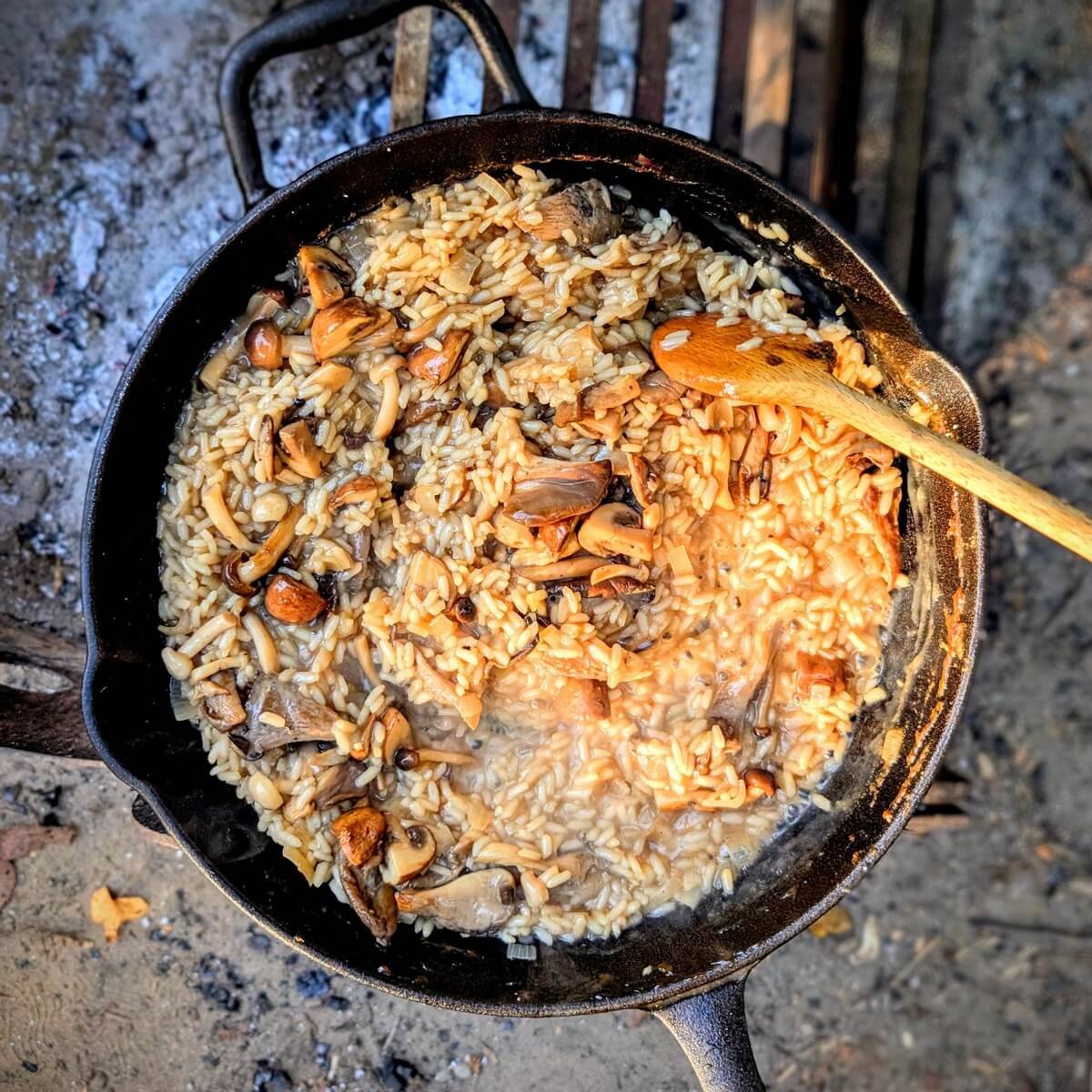 Campfire mushroom risotto in a cast iron skillet on a rustic outdoor cooking grate