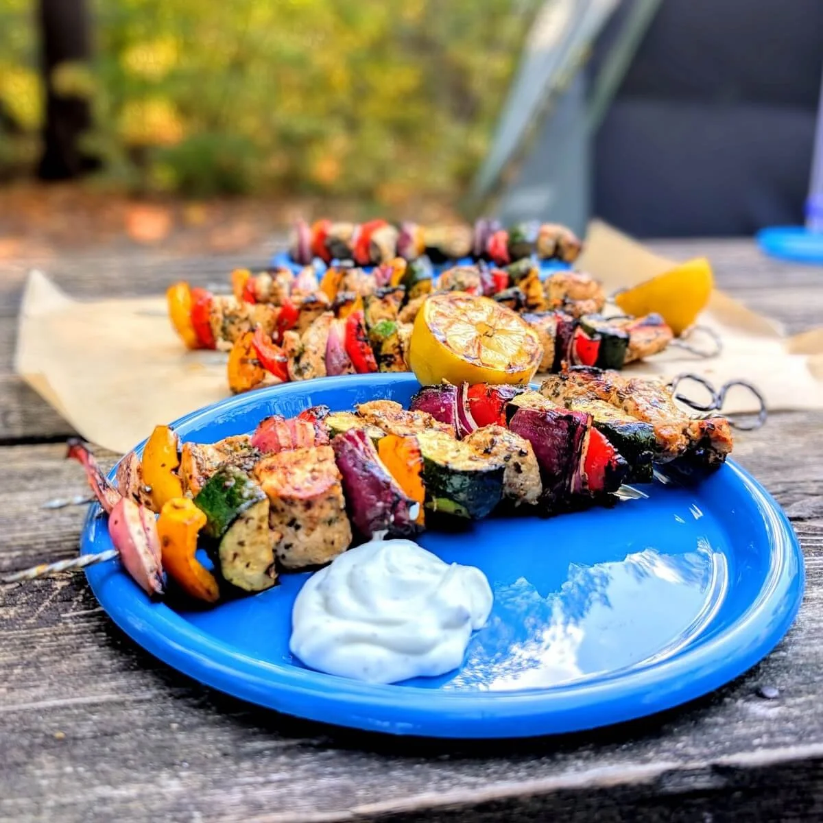 Grilled chicken and vegetable skewers served on a plate at a campsite picnic table