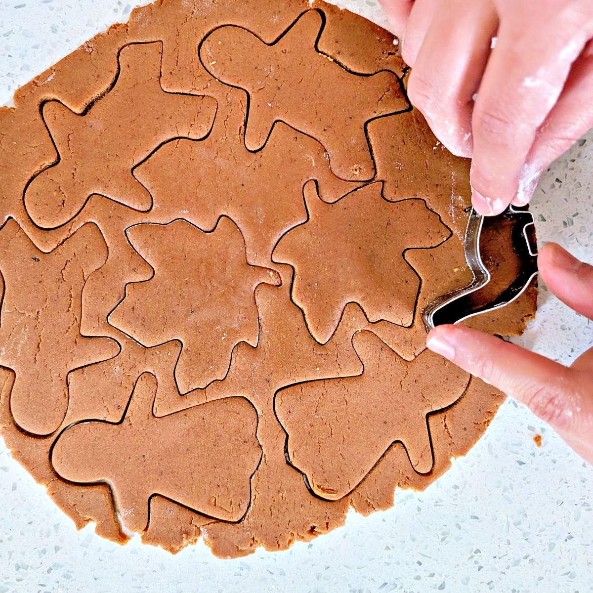 Gingerbread cookie cutter making cutout gingerbread cookies from rolled dough