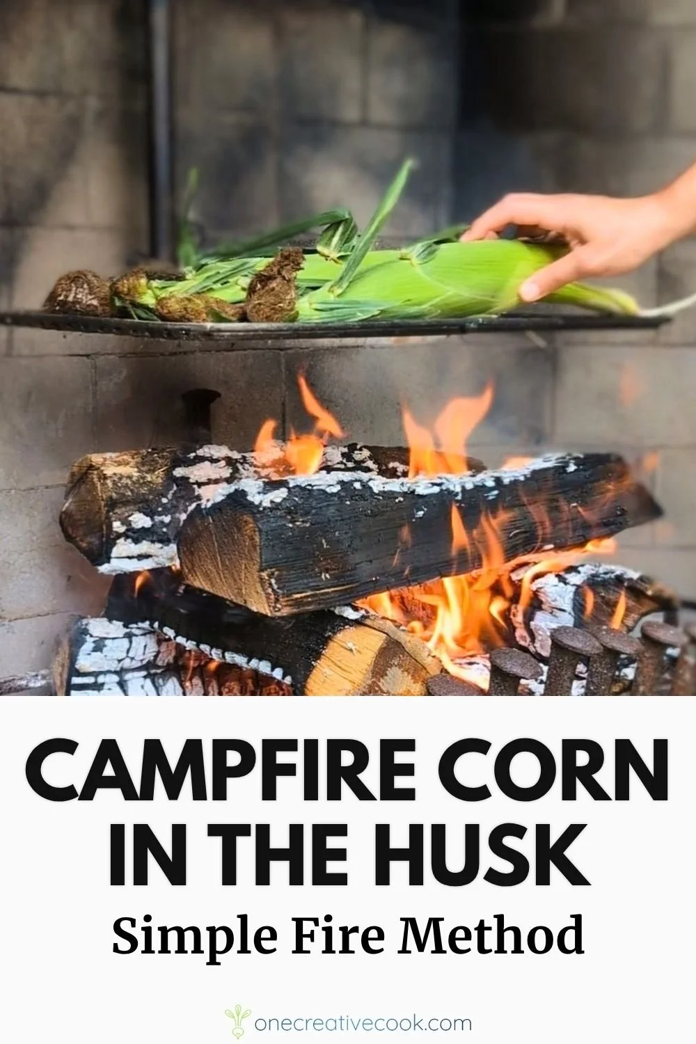 Corn in the husk grilling over a campfire