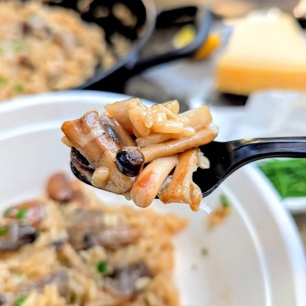 Closeup of campfire mushroom risotto on a spoon at camp