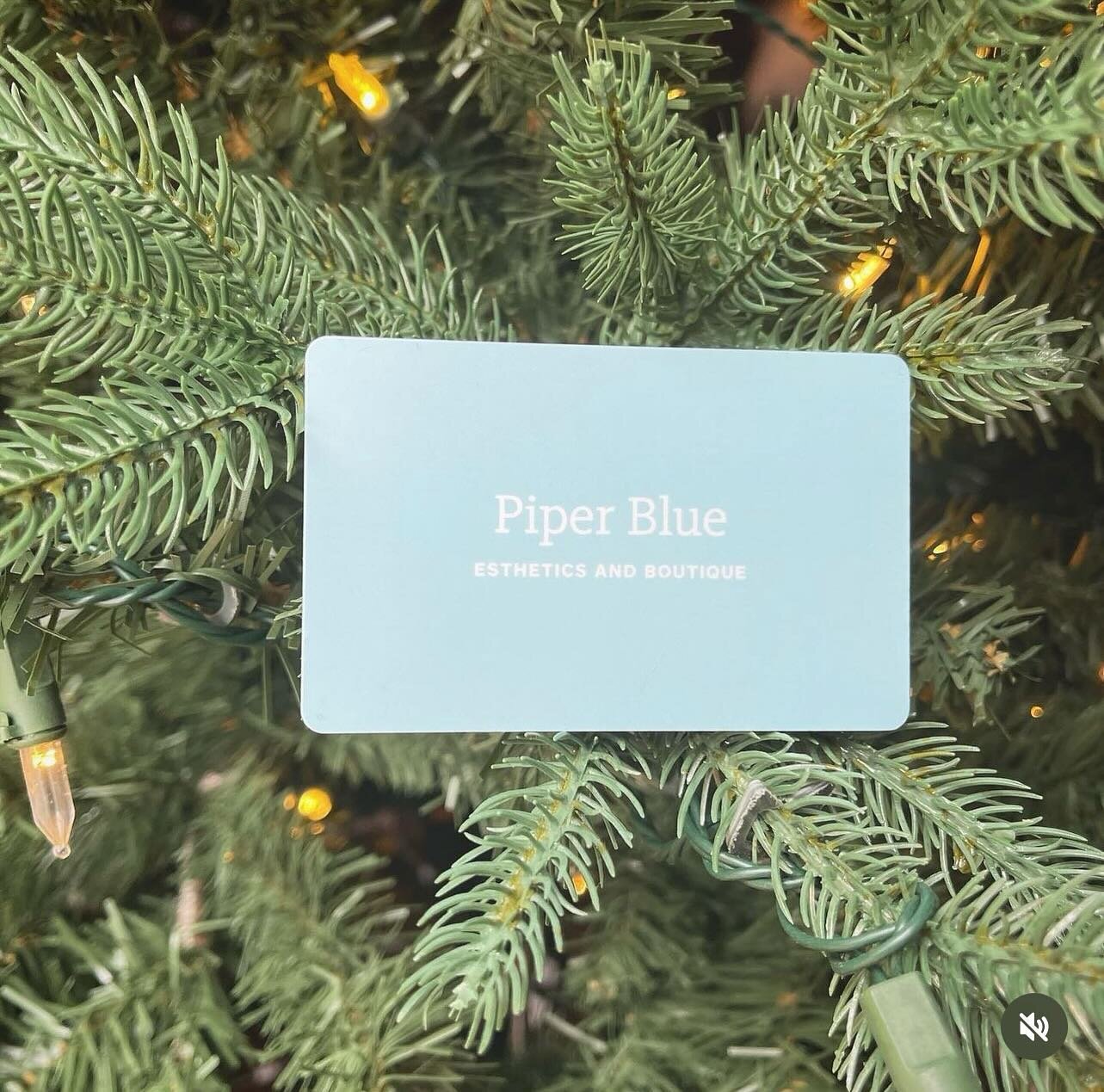 It&rsquo;s time to slay your holiday list!  Give the gift of self care💆🏼&zwj;♀️ Grab a super easy e-card online in the link in bio, or contact us if you would like to pick up a physical card.  Gift cards can be used on so many amazing options:⁣
⁣
✨
