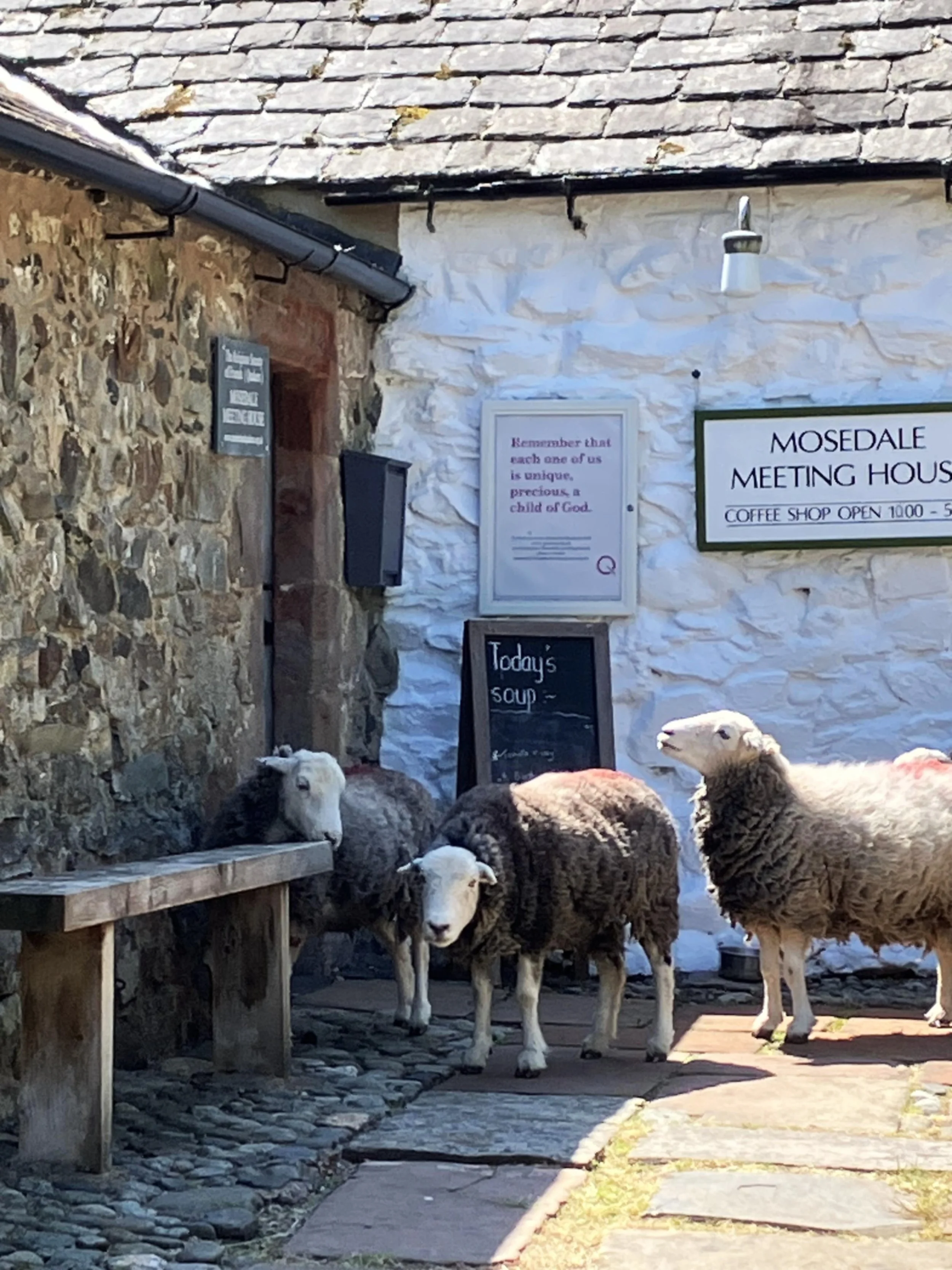Preparations are in hand for the summer 2026 NFG Coffee Shop at the picturesque Mosedale Quaker Meeting House