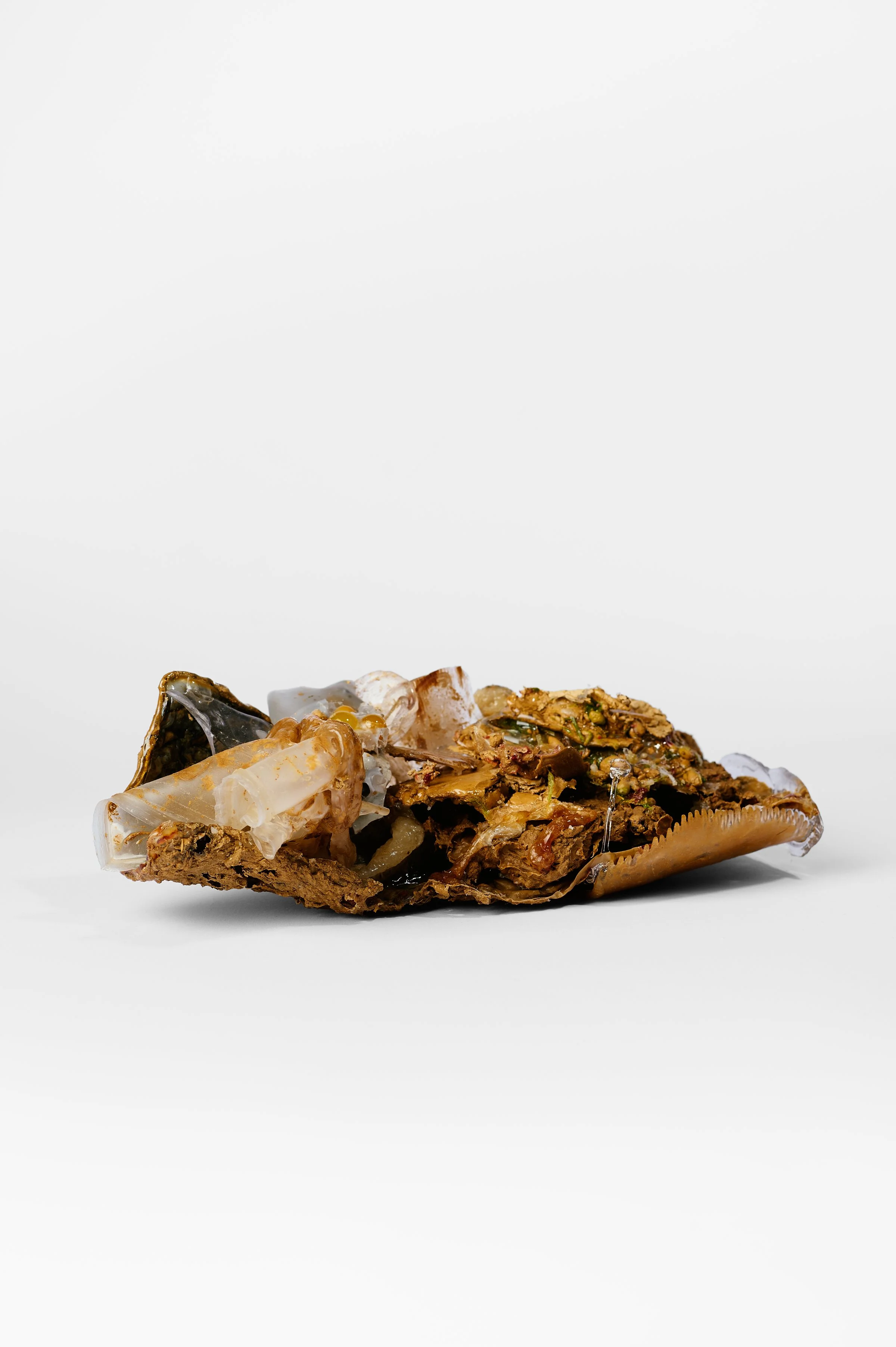 LIQUID, object view, Yongping Ren, 2026. Photography Ross Coulter.