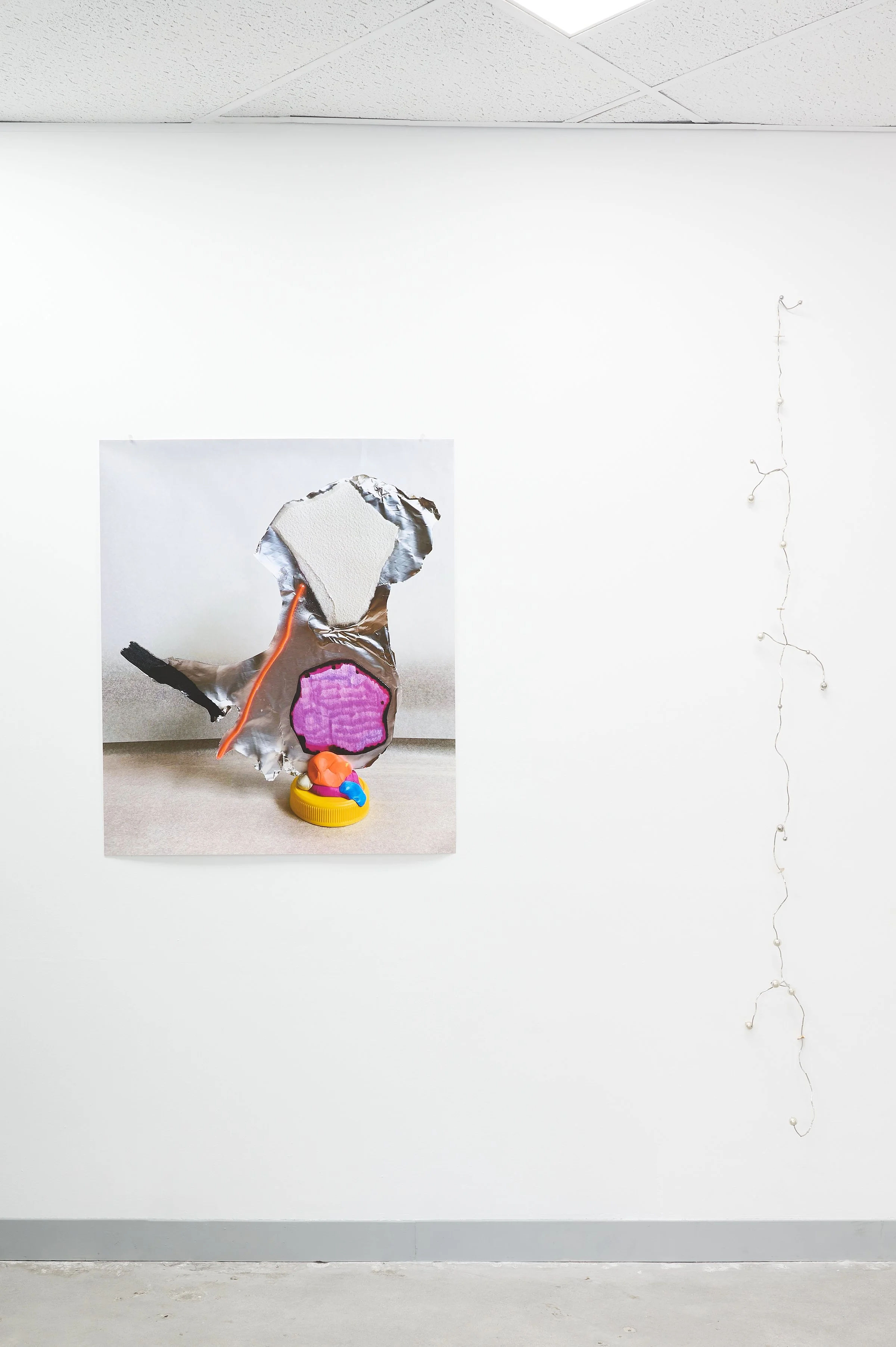 LIQUID, installation view, Molly Cook and Kate Stewart, 2026. Photography Ross Coulter.