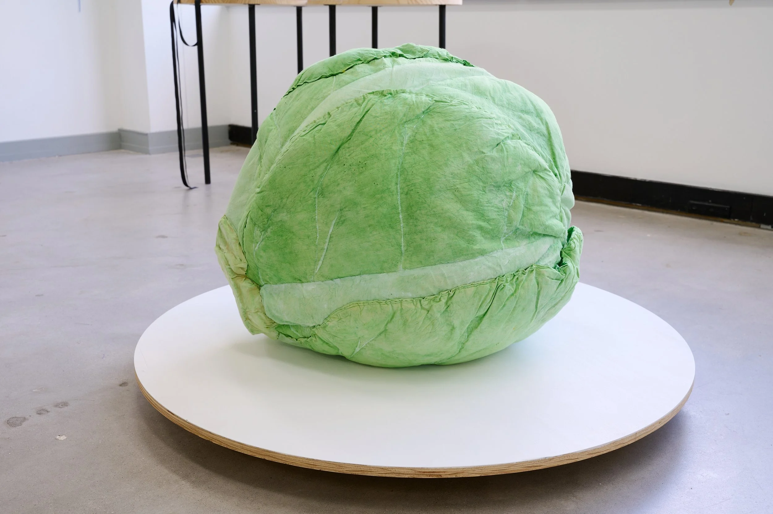 'By Necessity', installation view, Jacquelyn Fang Greenbank, 2026. Photograph: Ross Coulter 
