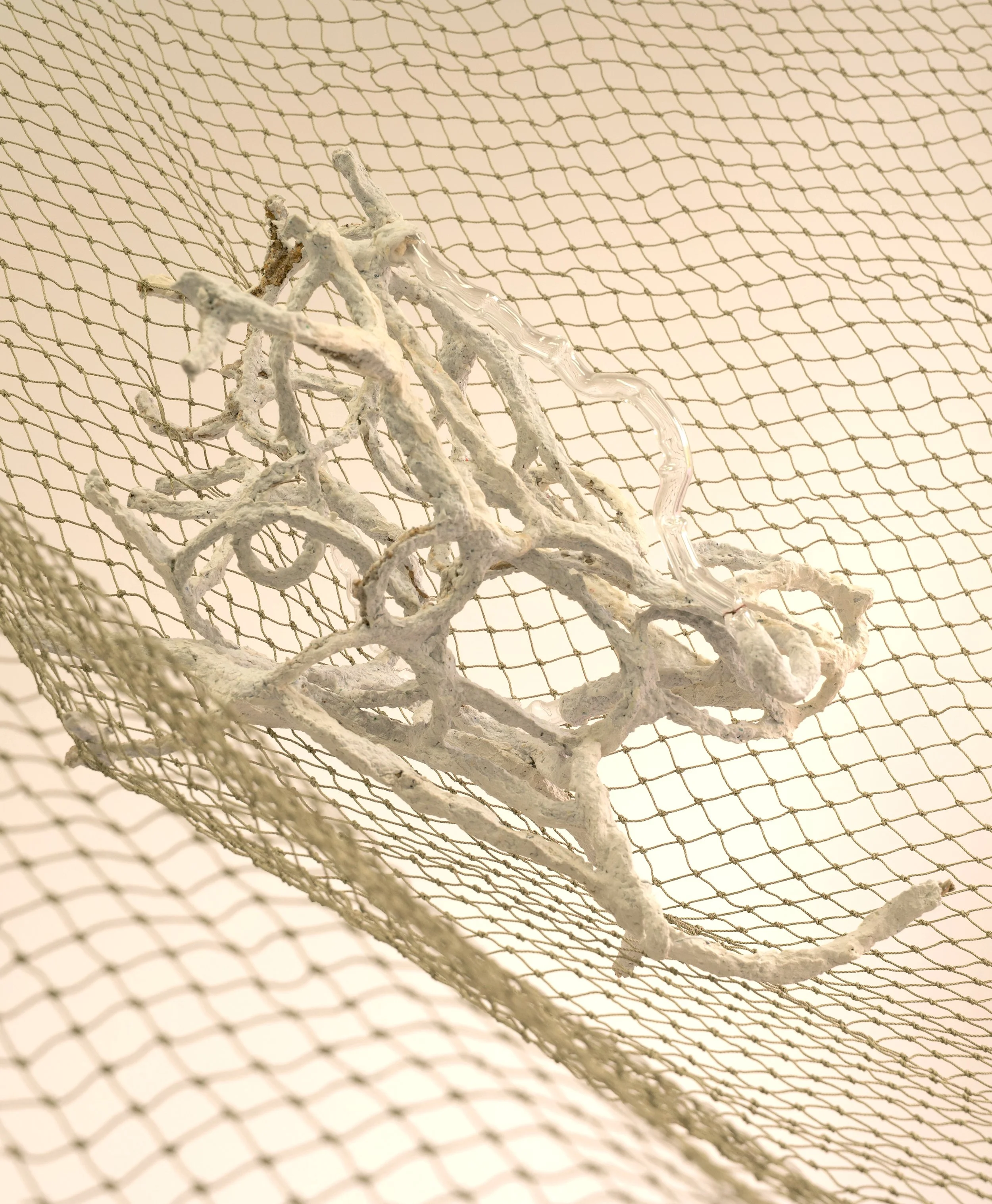 Benjamin Woods, ‘Rhizome’, 2024-2025, 
flame-work borosilicate glass (2021), seagrass twine, rope, wire, paper pulp, pva, plaster, gesso, acrylic paint. 59x41x31cm. Price: $900