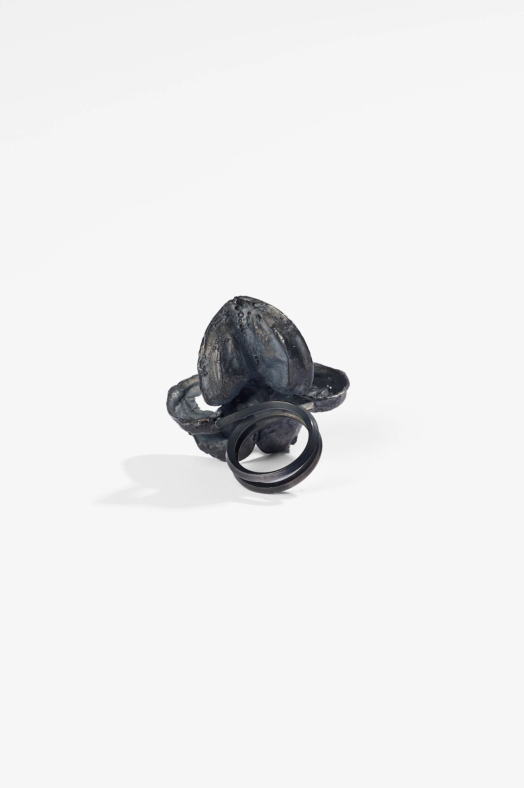 Juliette Claire, Hippeastrum seed pod ring, oxidised sterling silver with Citrine, dimensions variable, 2025, $2,300. Photography: Ross Coulter