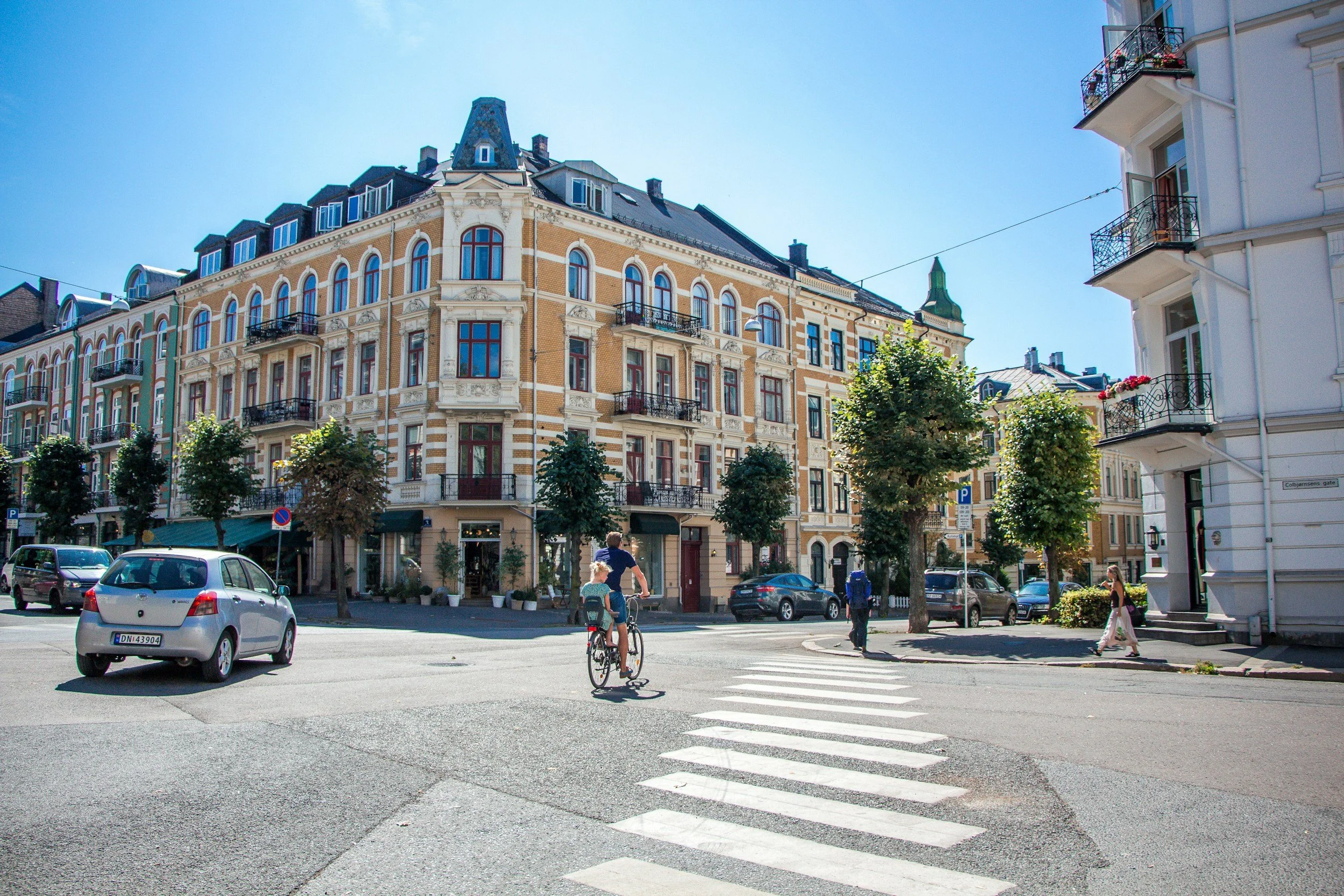 Eierseksjonsloven og flertallskrav