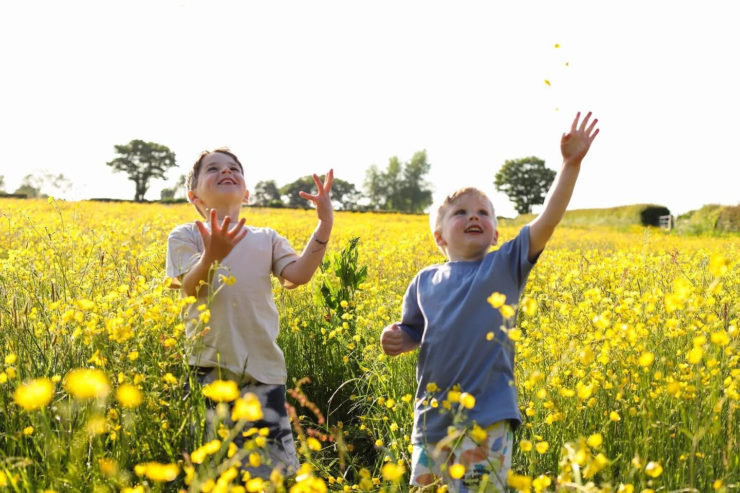 Found a cute little spot for us &hellip;.. surrounded by buttercups 💛