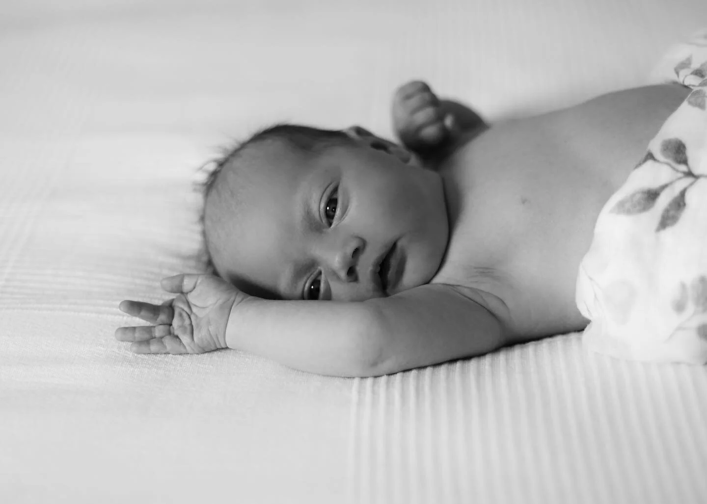 I&rsquo;ve had a lot of Baby Bookings these past few weeks 🤍 Getting all the newborn cuddles has to be the best part of my job , Little Emily you were an absolute dream to work with 🤍 @alanaburchett