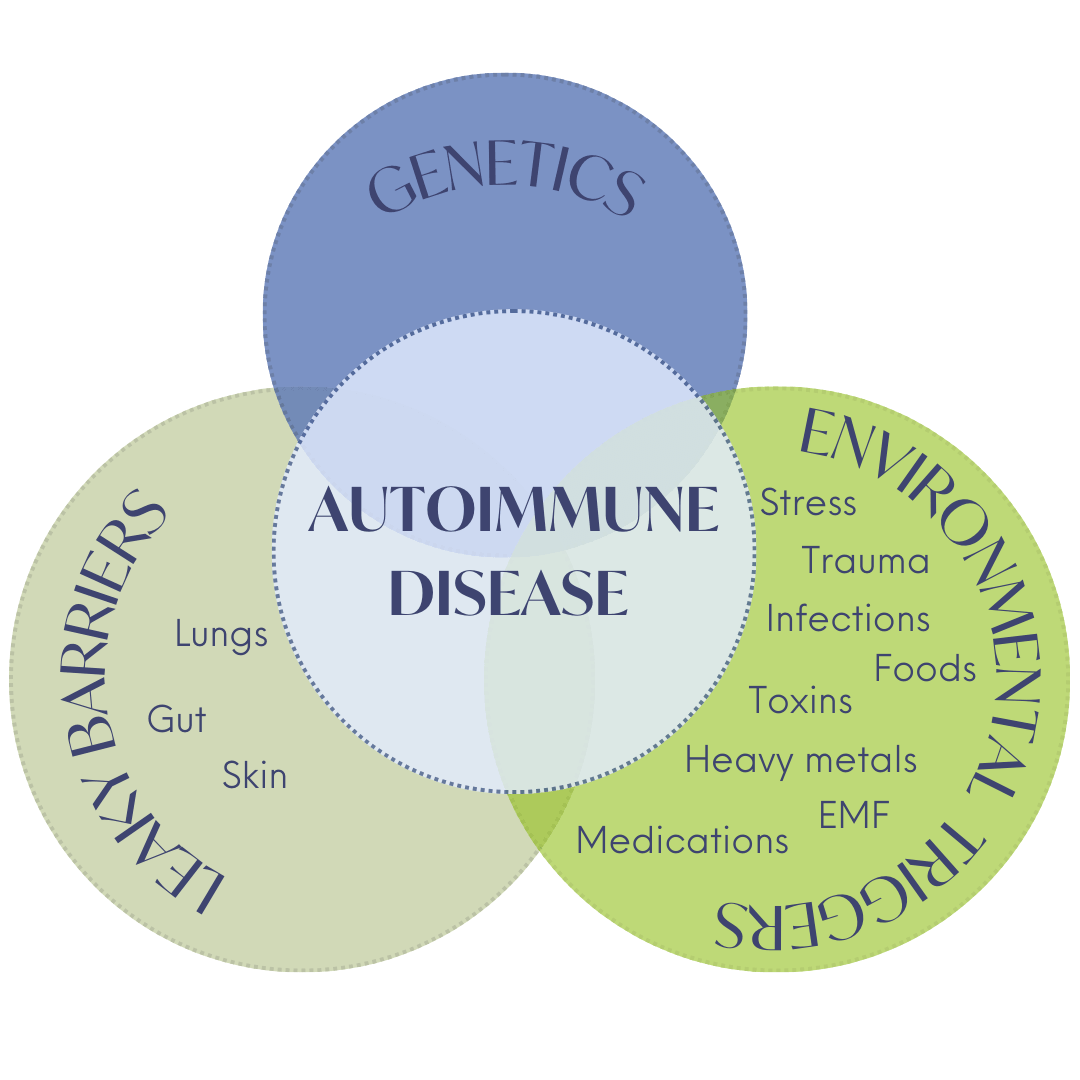 Image showing circle explaining autoimmune disease