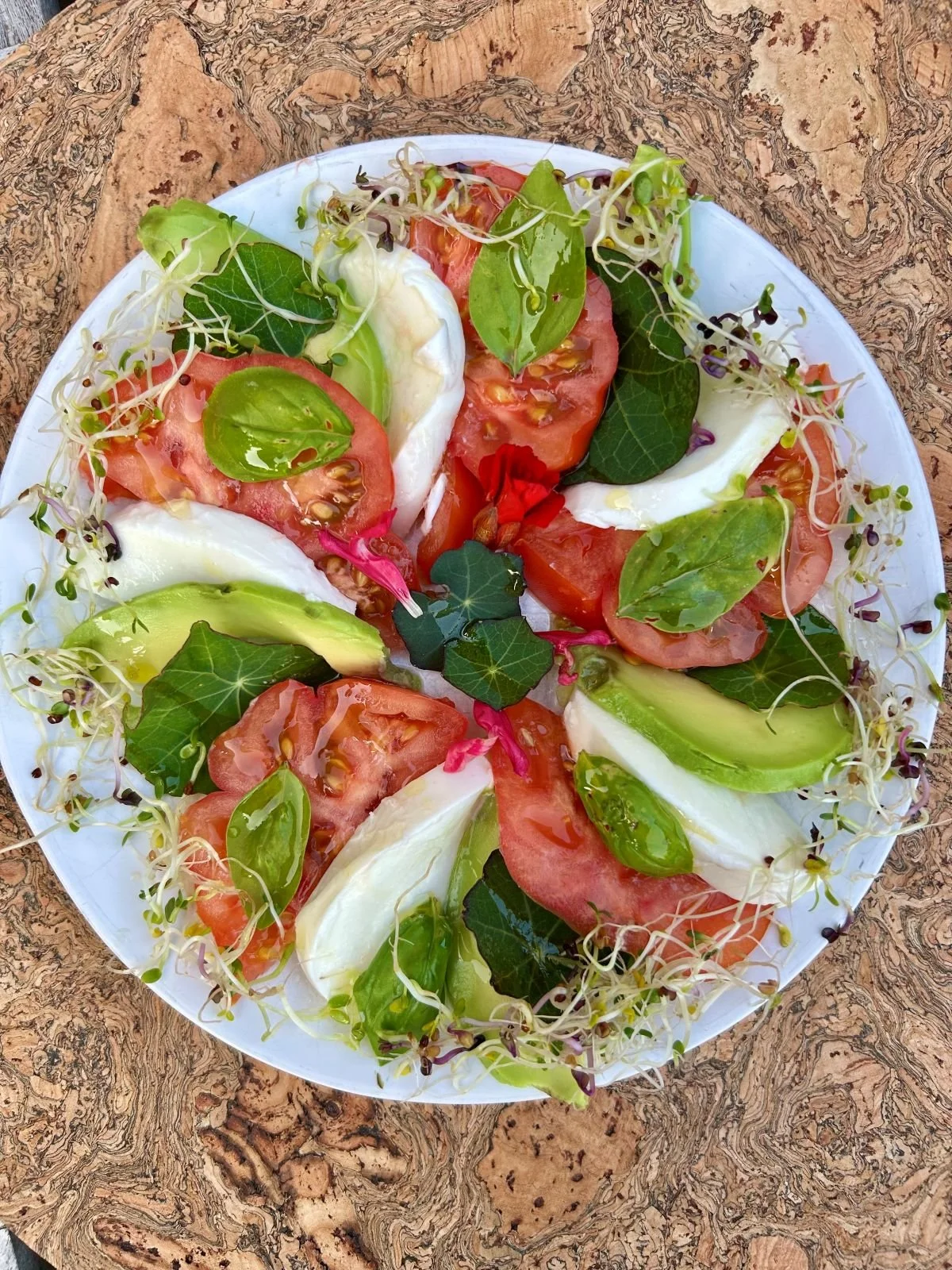 Tomato, mozzarella and avocado salad
