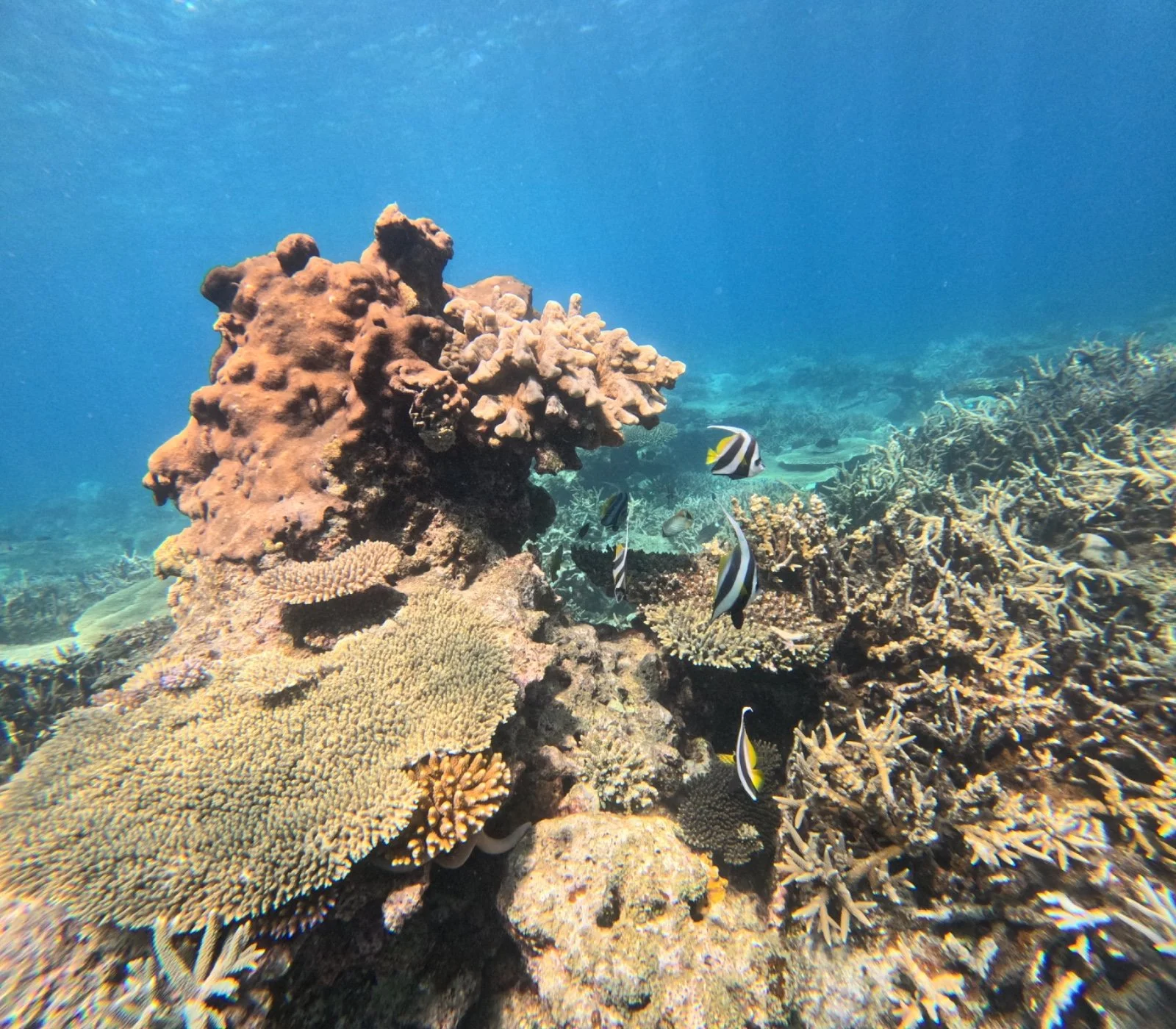 Beach holiday in Kenya, best beach resorts in Tanzania, luxury stays in Mozambique, romantic getaways in Seychelles, group trips in South Africa, family resorts in Kenya, private villas in Zanzibar, secluded retreats in Seychelles, affordable holiday