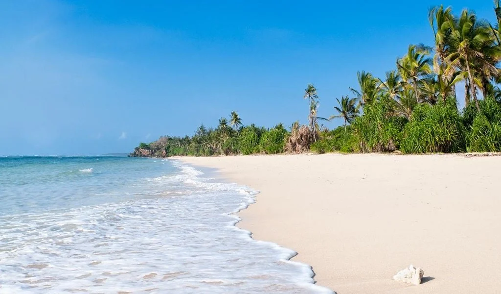 Beach holiday in Kenya, best family-friendly beach resorts in Kenya, best diving spots in Kenya, beachfront lodges in Kenya, best coastal Airbnbs in Kenya, hidden beach gems in Kenya.