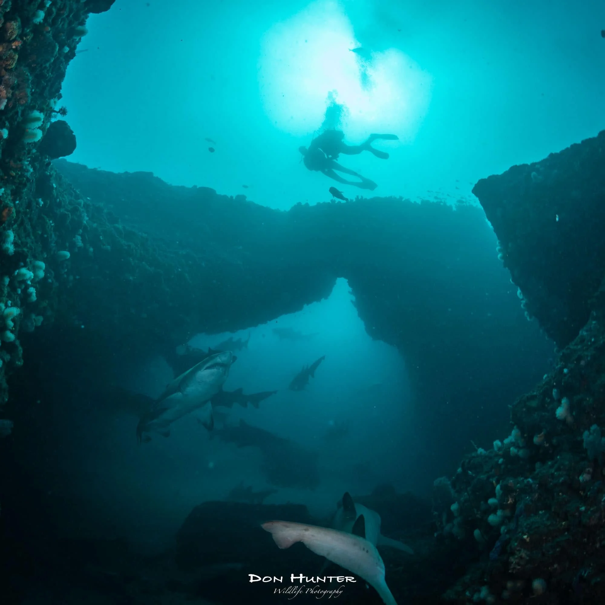 cathedral site raggies.jpg