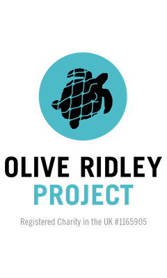 Olive-Ridley-Project-logo-240x400-1.png