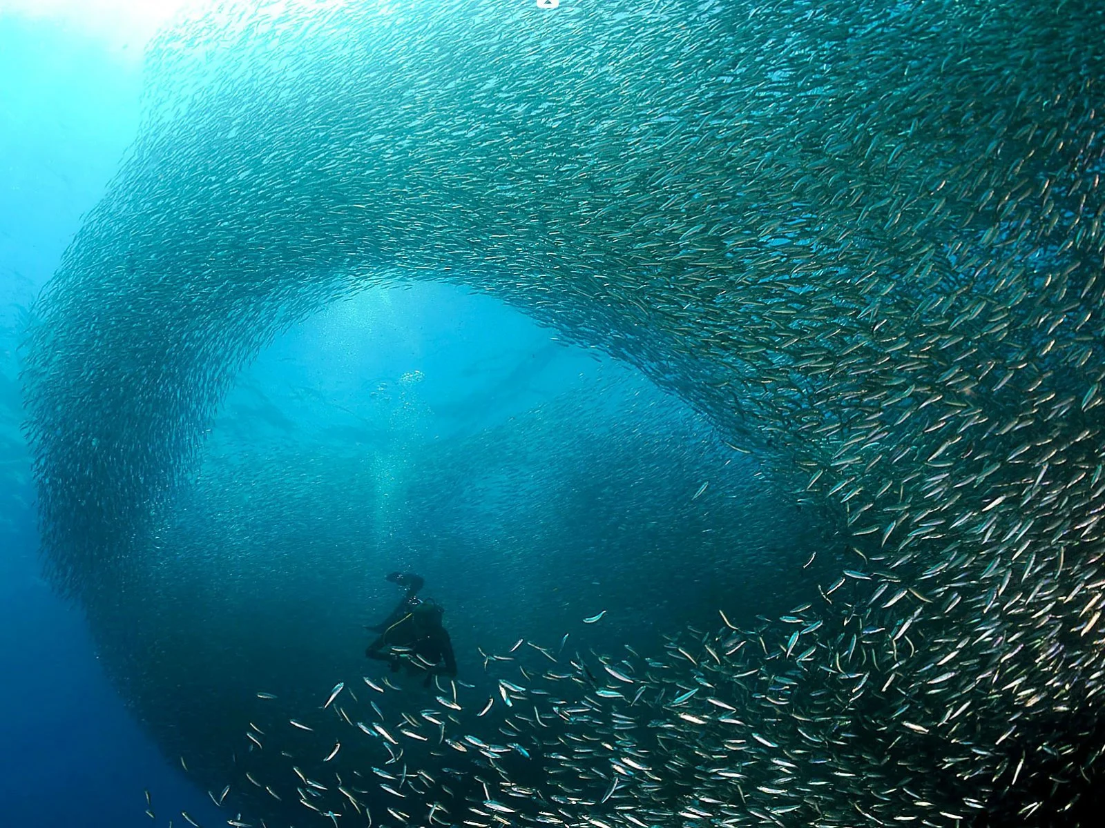 SOUTH AFRICA