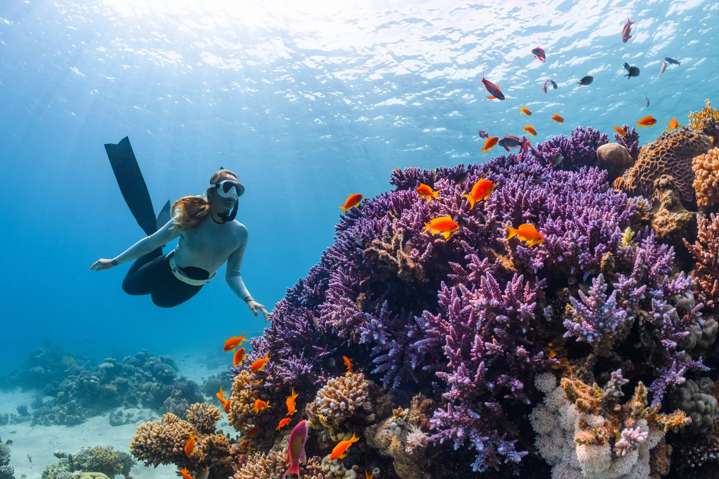 A woman snorkeling underwater near a vibrant coral reef with colorful fish swimming around.