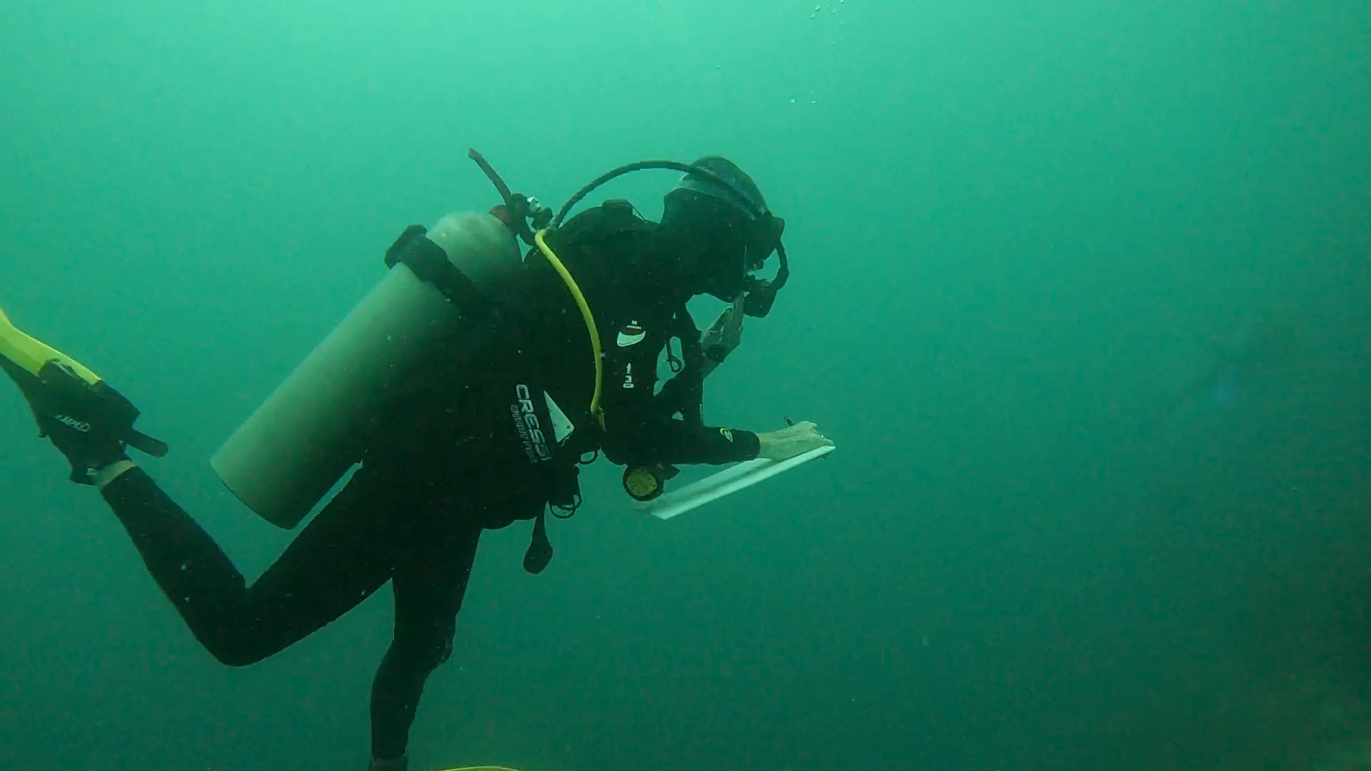 After the Savannah, the Sea: What the Indian Ocean Asks of You