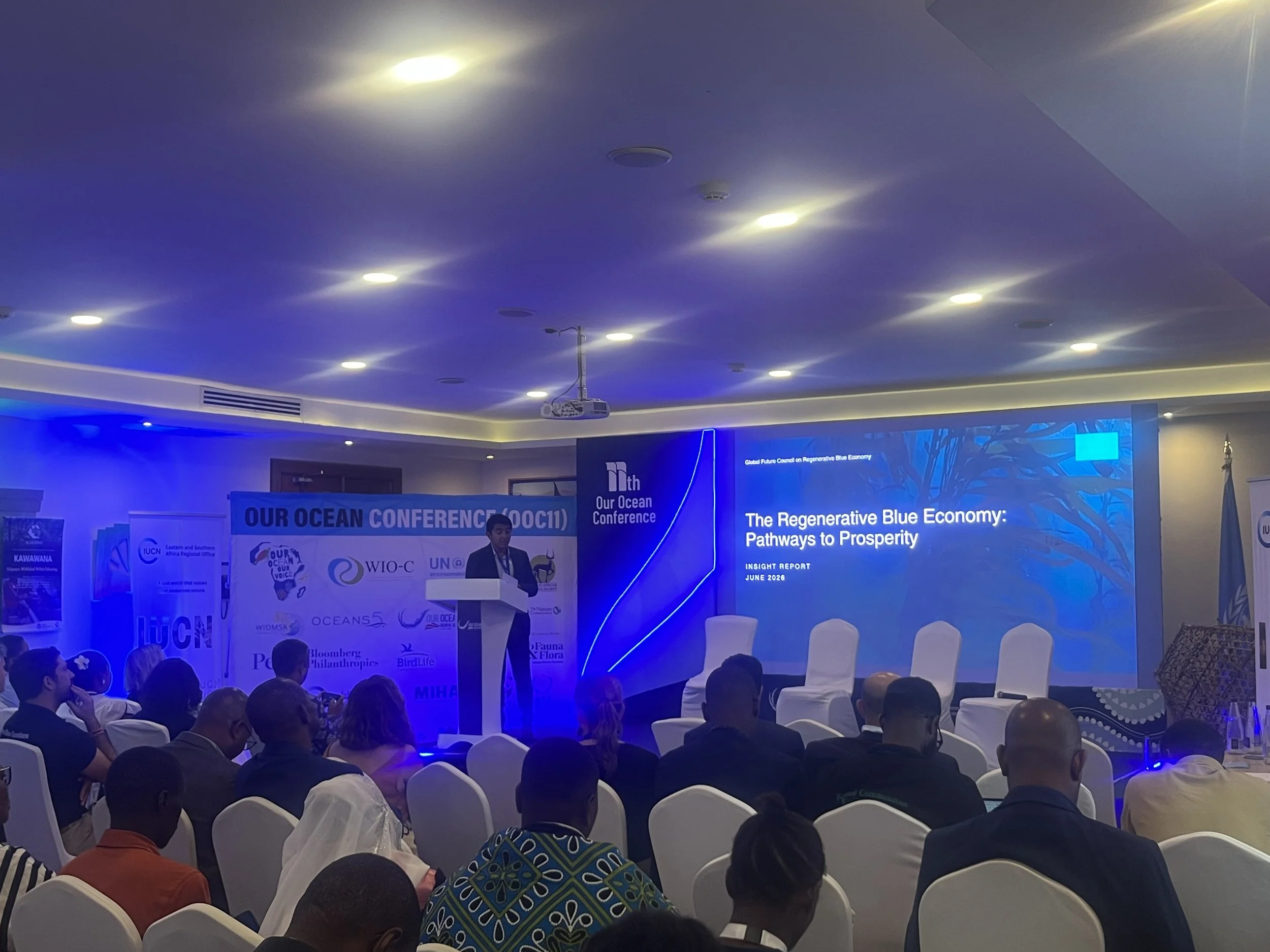 IMG_0294.jpg