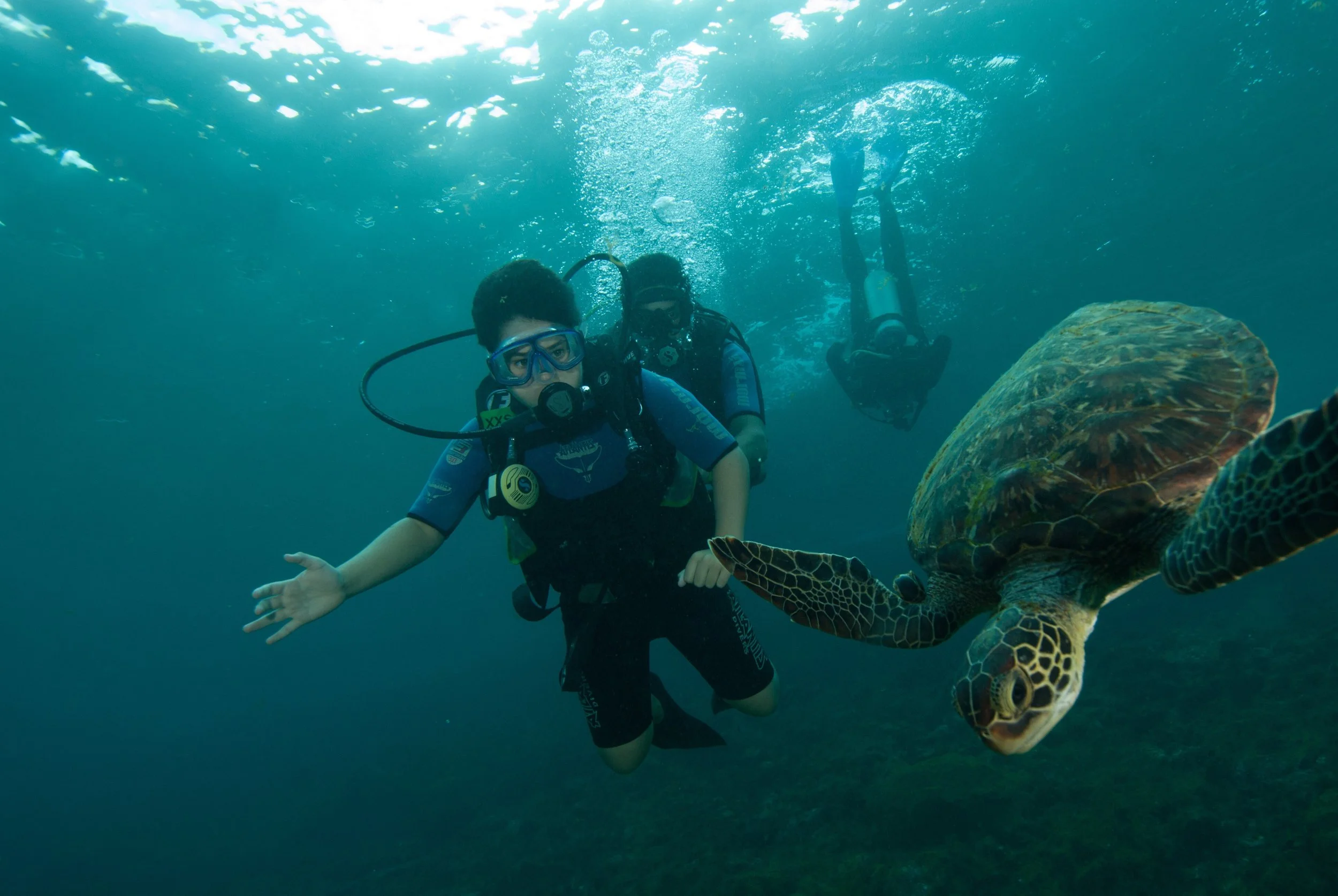 Two children in scuba diving gear underwater, interacting with a sea turtle.