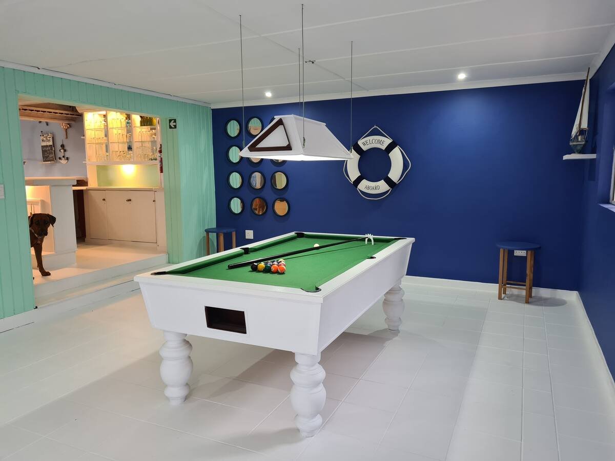 pool table lazy shark.jpeg