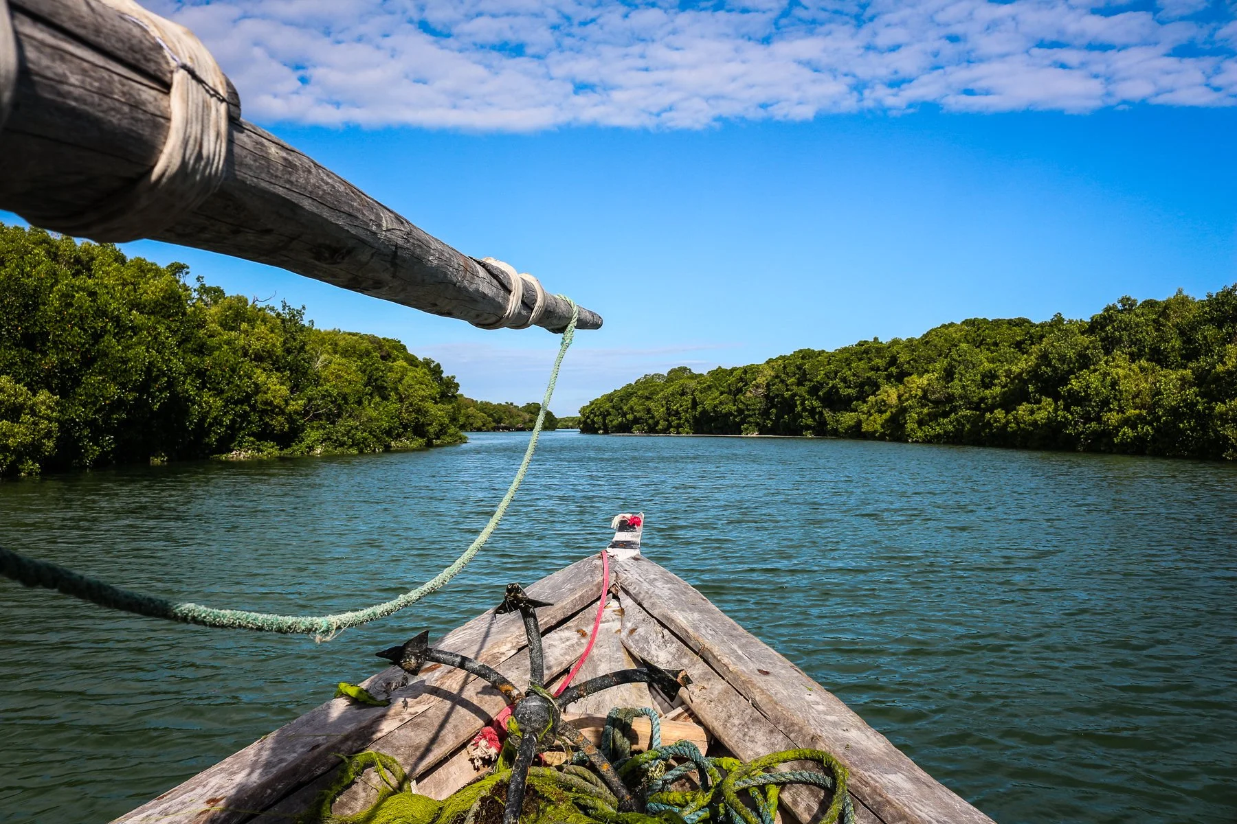View from a boat on a river flanked by dense green trees on both sides, with a bright blue sky and scattered clouds above.
