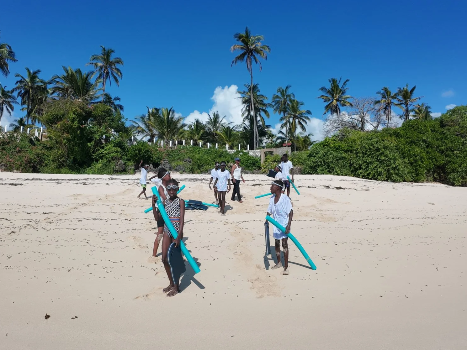 Seas4Life invites you to explore Africa’s marine wonders on sustainable sea expeditions. Learn marine conservation and enjoy luxury travel from Seychelles to the Red Sea.