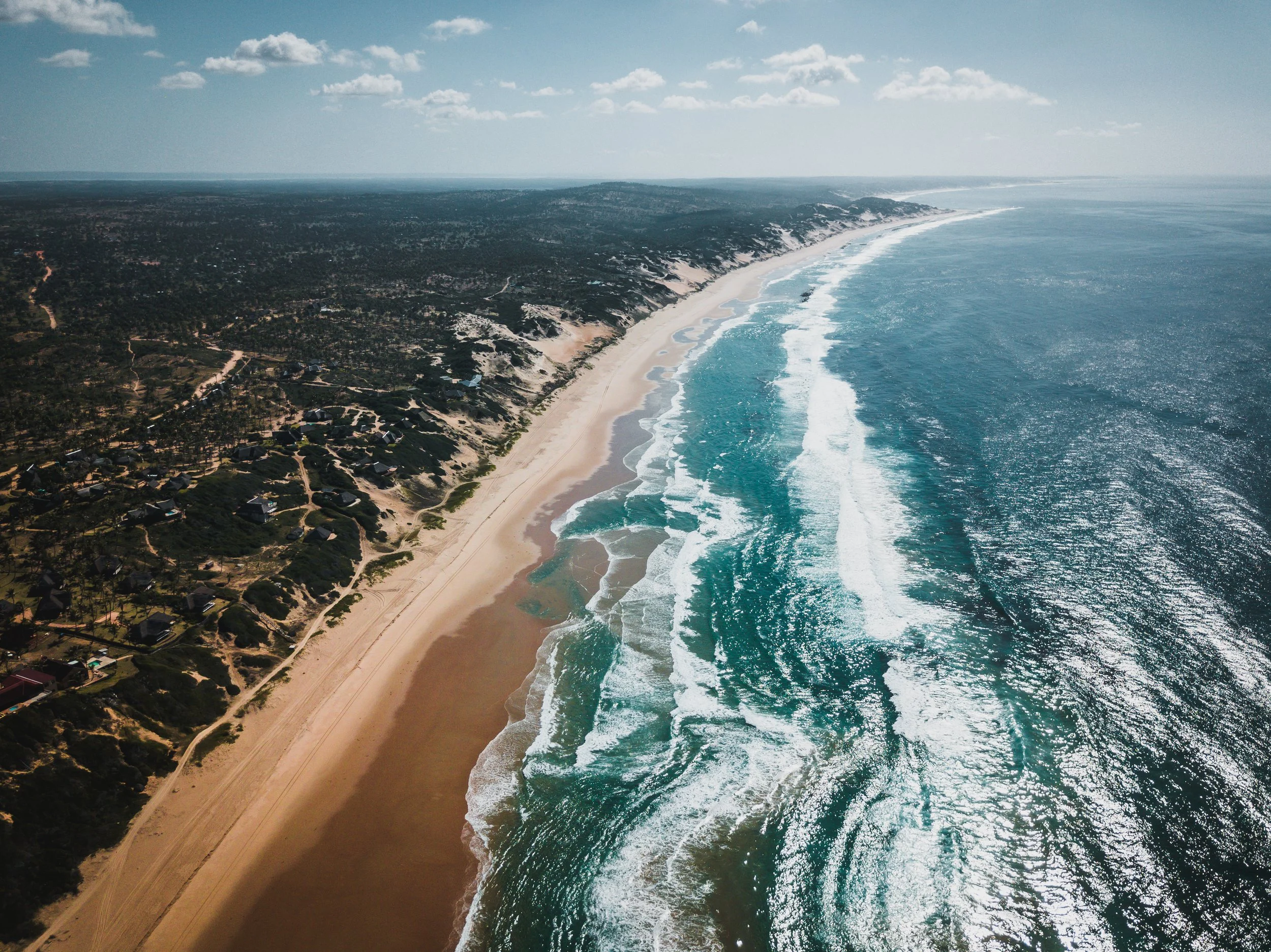 PJI_0016 Ike Isaacson.jpg