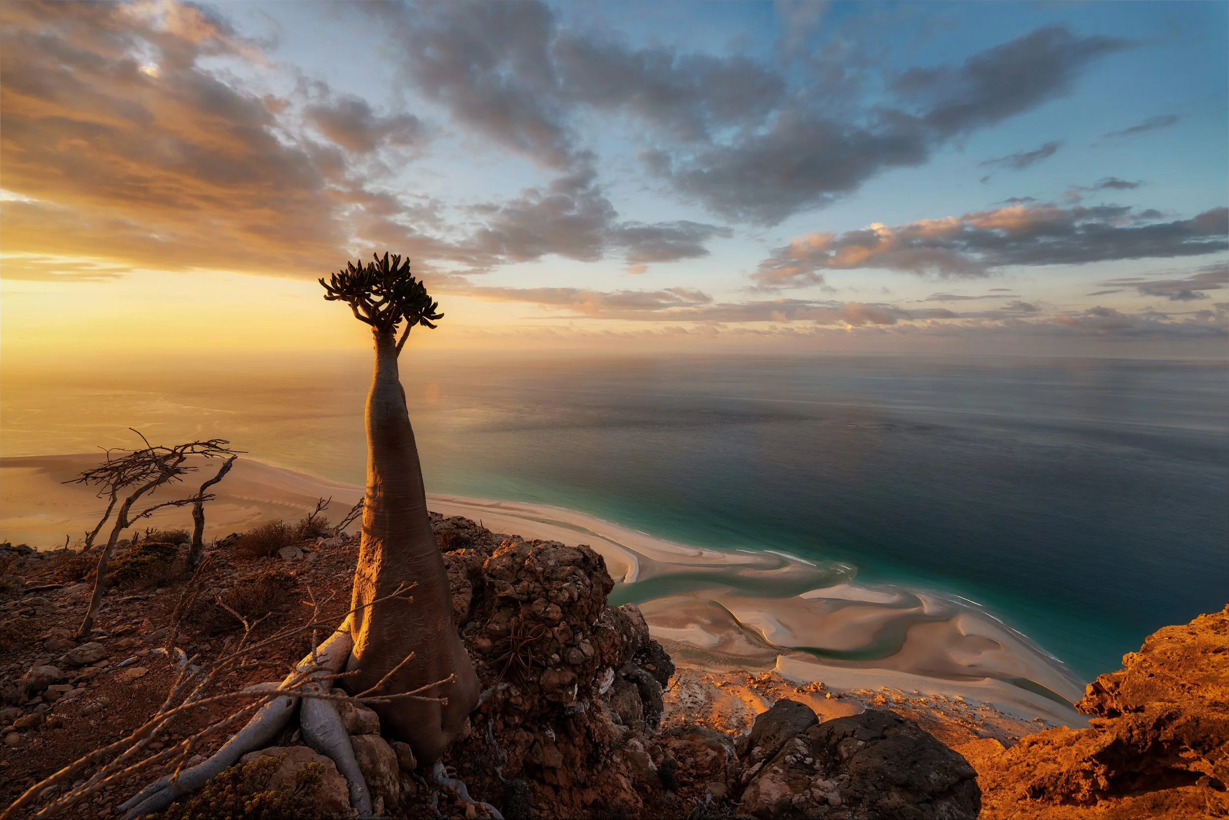 SOCOTRA: OCTOBER 2026 — 7 PAX