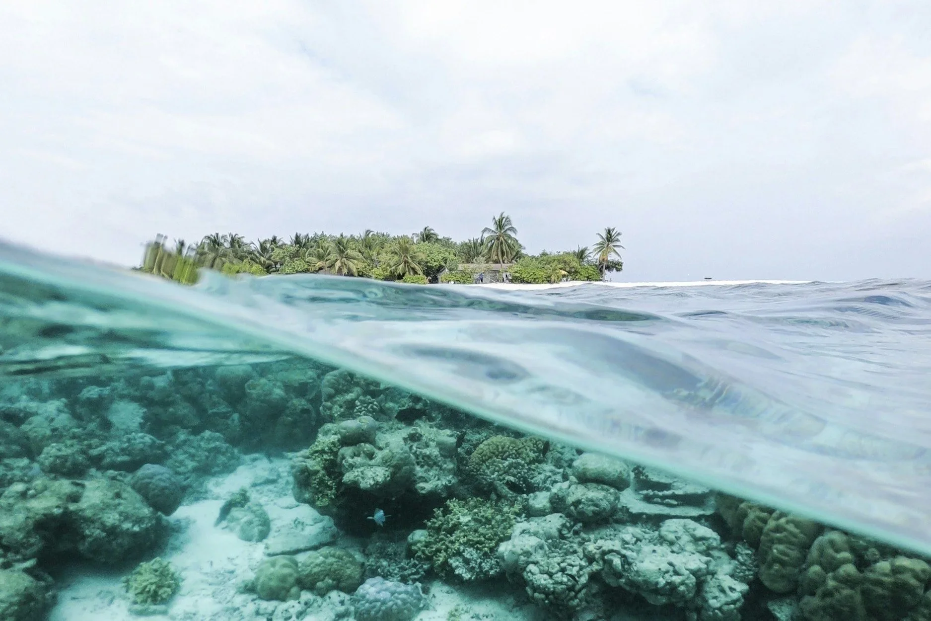 the conscious travel foundation.jpg.webp