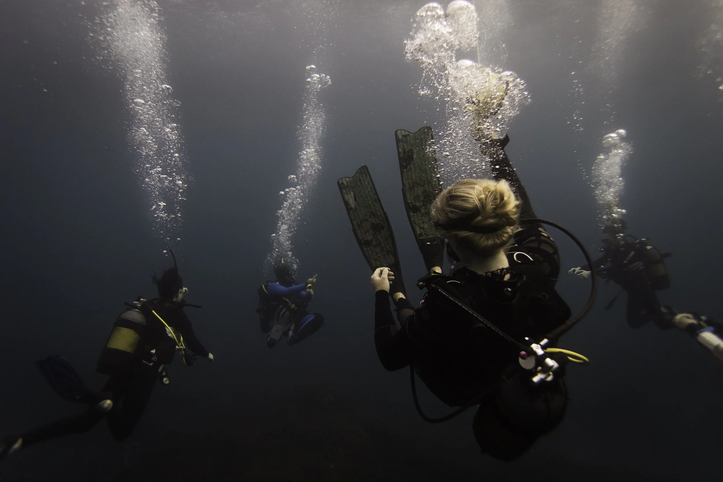 DanielleDaSilva-0220-2-5 for Photographers Without Borders.jpg