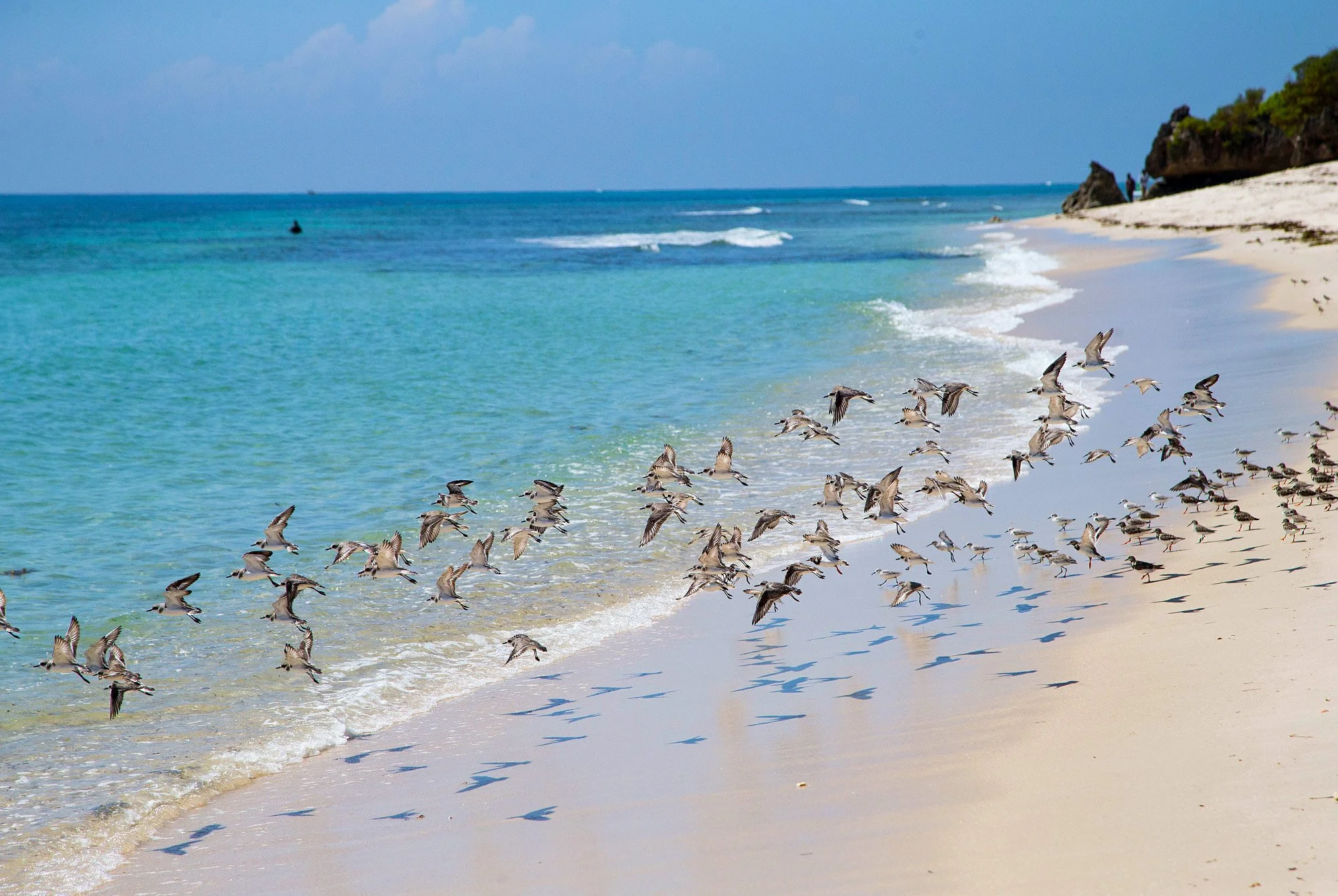 Beach holiday in Kenya, best family-friendly beach resorts in Kenya, best diving spots in Kenya, beachfront lodges in Kenya, best coastal Airbnbs in Kenya, hidden beach gems in Kenya.