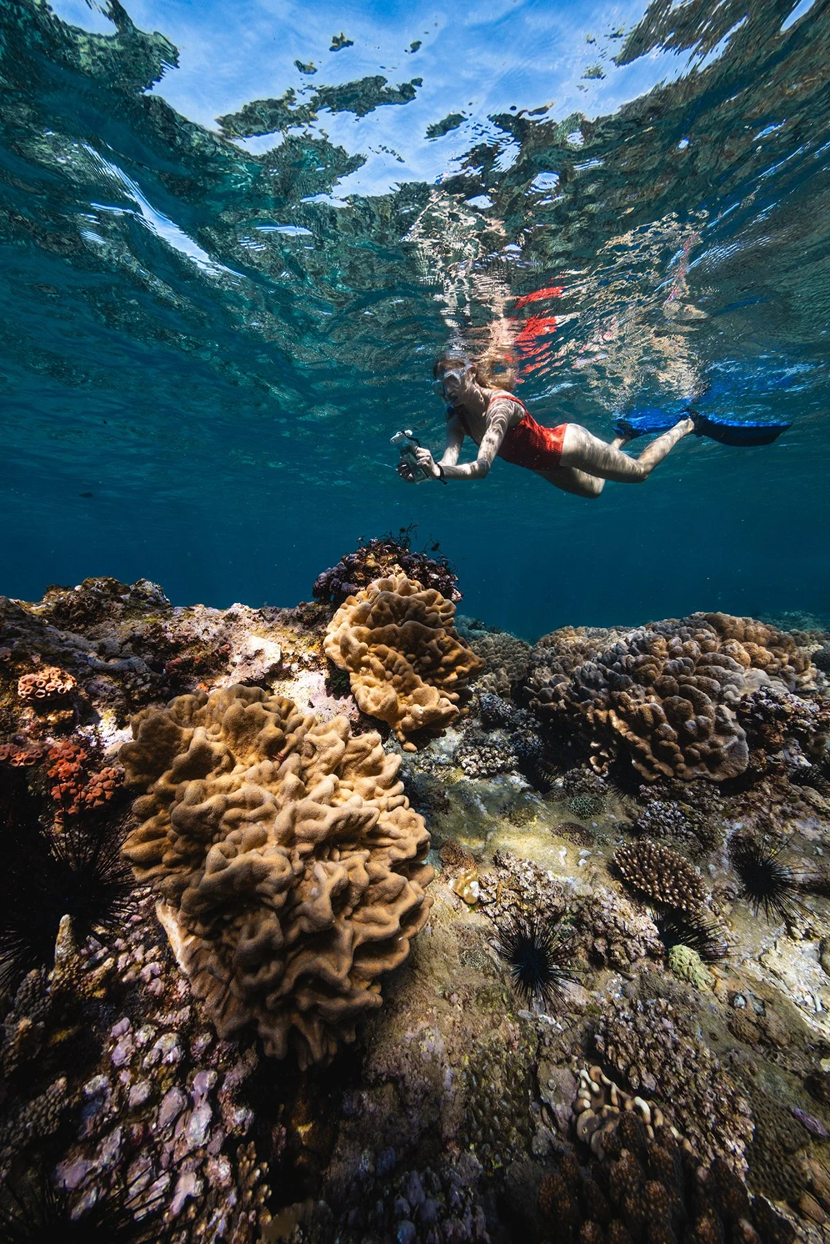 Coral Gardens-4_Juan Camilo Mora.jpg