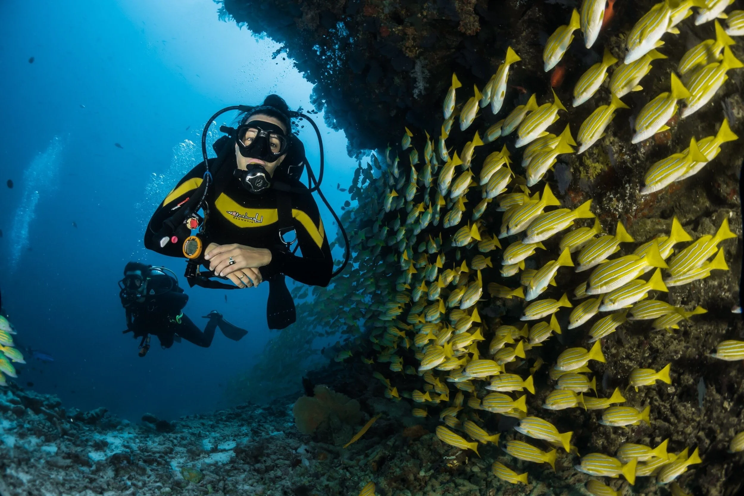 Two scuba divers explore a coral reef with a school of yellow and white striped fish.